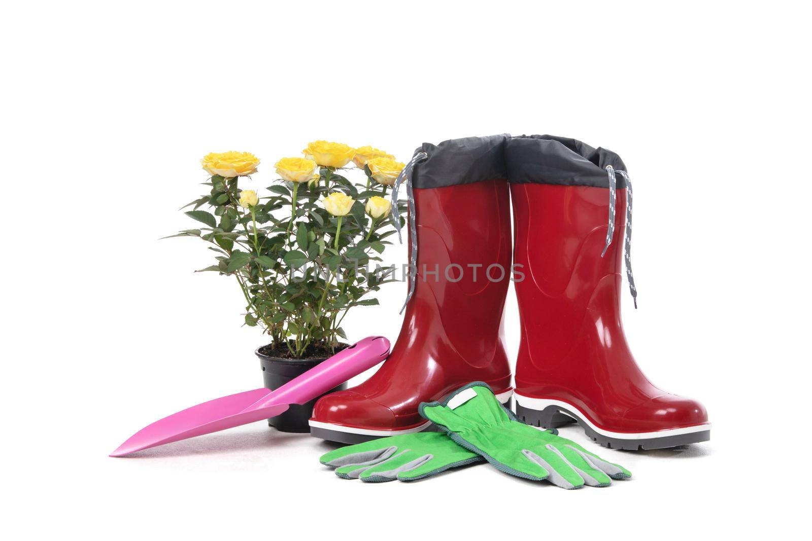 Garden tools with flower pot and boots isolated on white background