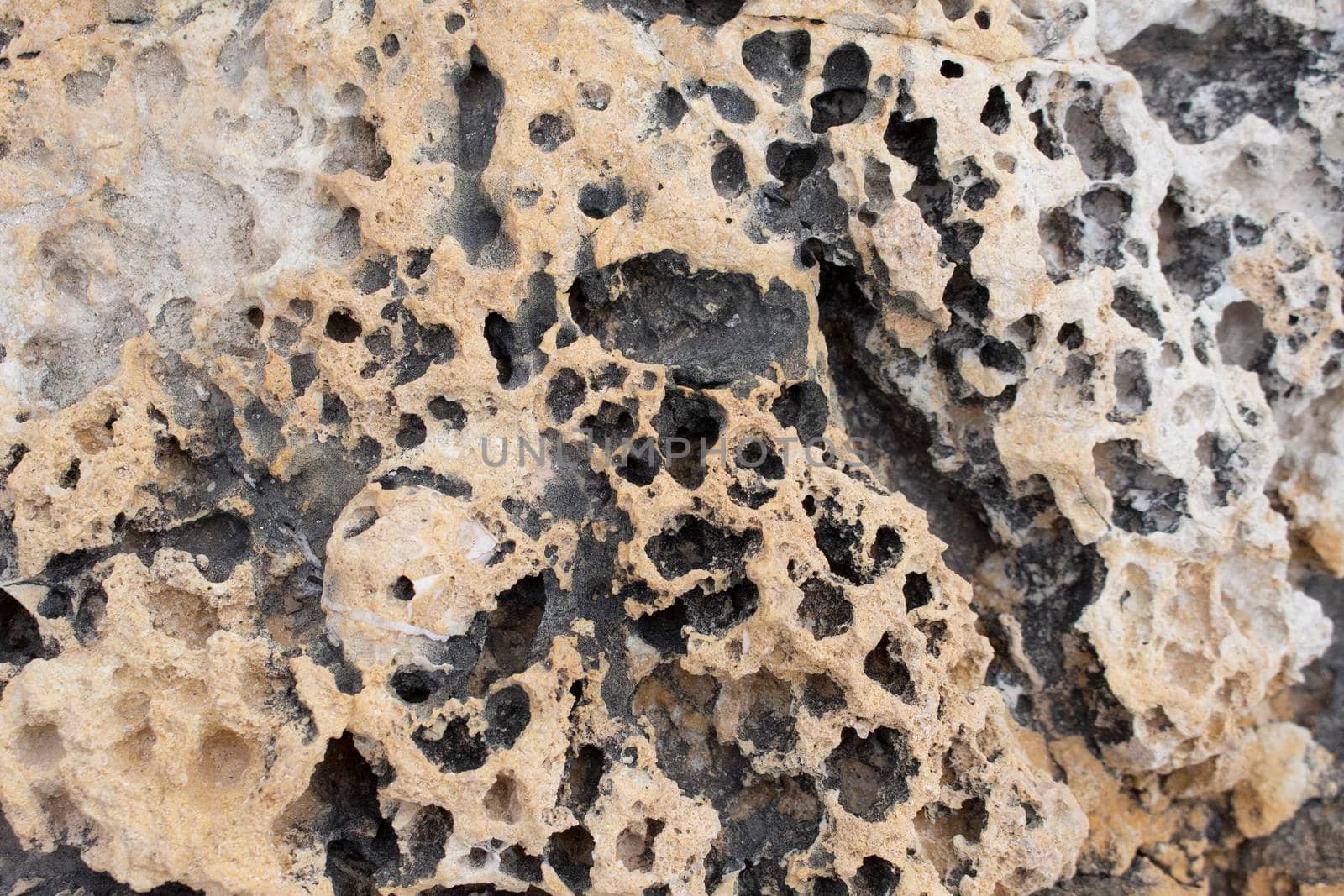beige background natural stone with cracks and holes macro view