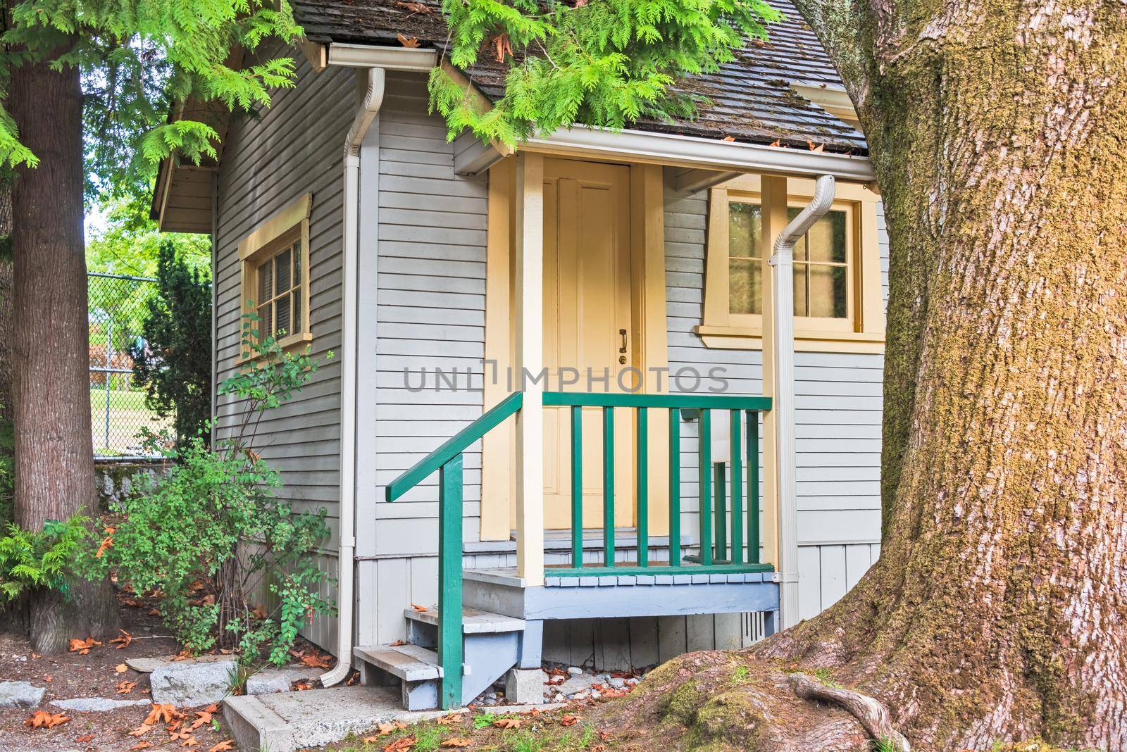 Doorsteps and porch of small residential house under the tree