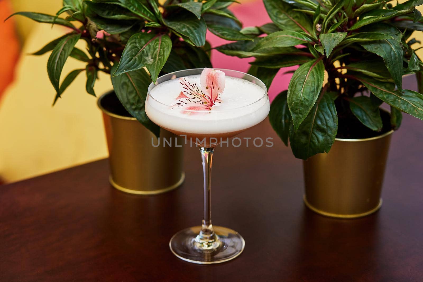 Beautiful cocktail and two flowers