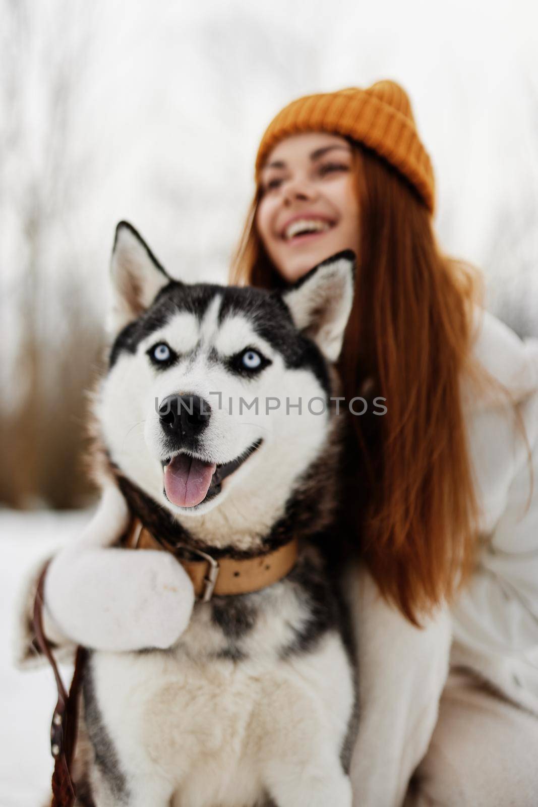 young woman with husky winter landscape walk friendship winter holidays. High quality photo