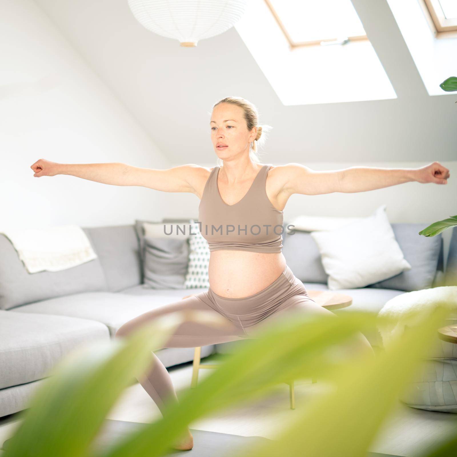 Young beautiful pregnant woman training pilates at home in her living room. Healthy lifestyle and active pregnancy and motherhood concept