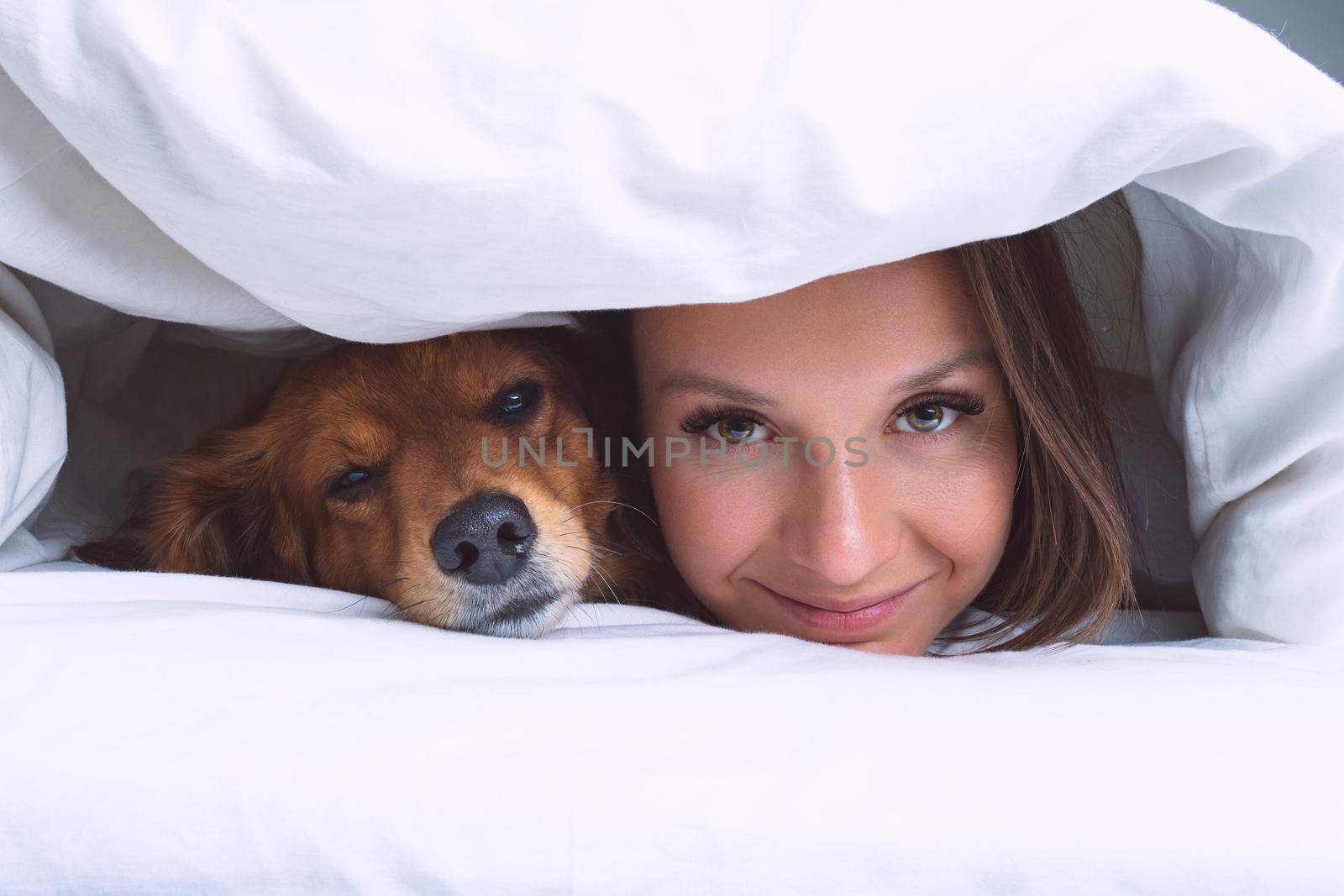 Beautiful woman lying under the blanket in the bed with her lovely dachshund dog. Dog and owner together by DariaKulkova