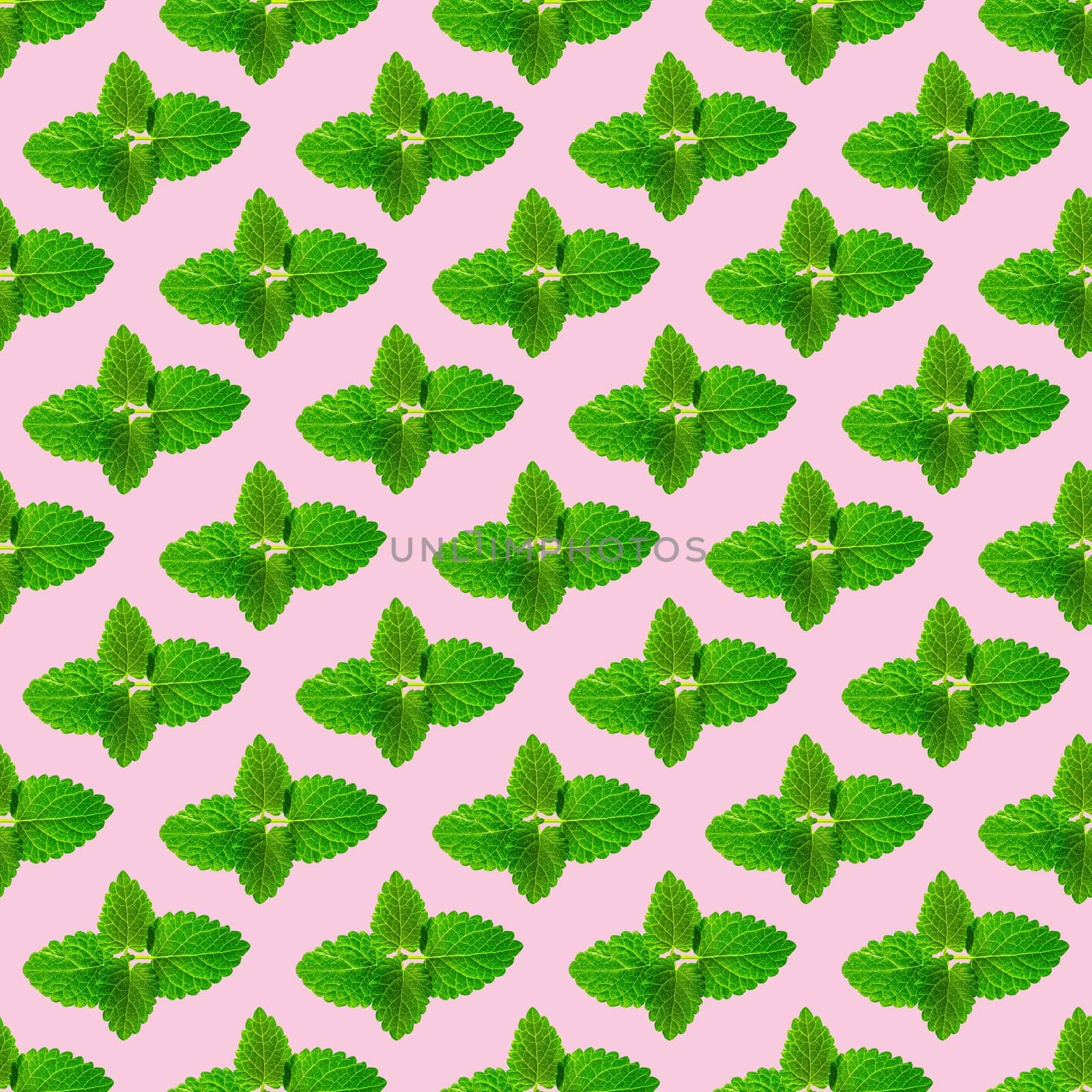 Seamless pattern of fresh mint leaves on pink background for packaging design. peppermint abstract background.