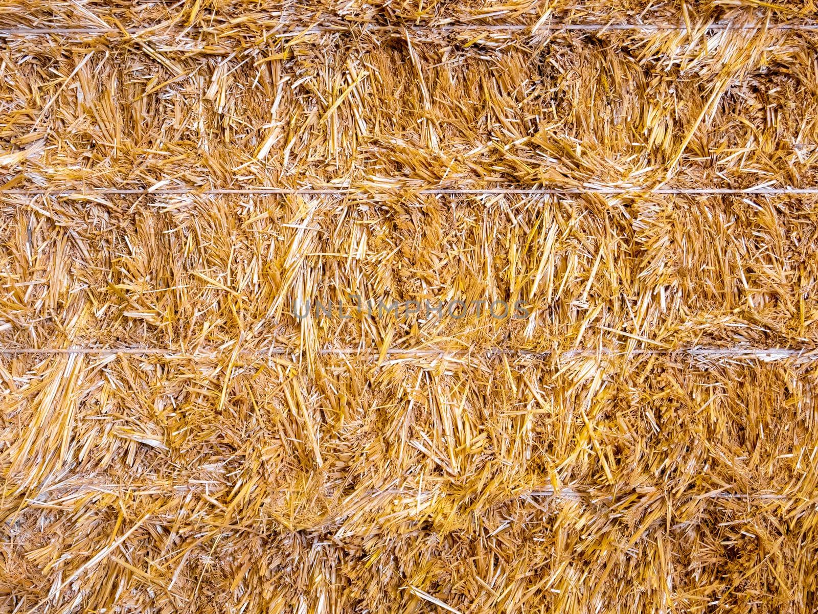 Golden straw stack tightened with straps. Texture background of yellow straw bale