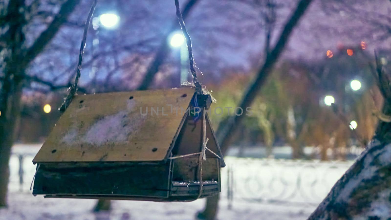 bird feeder in the evening park