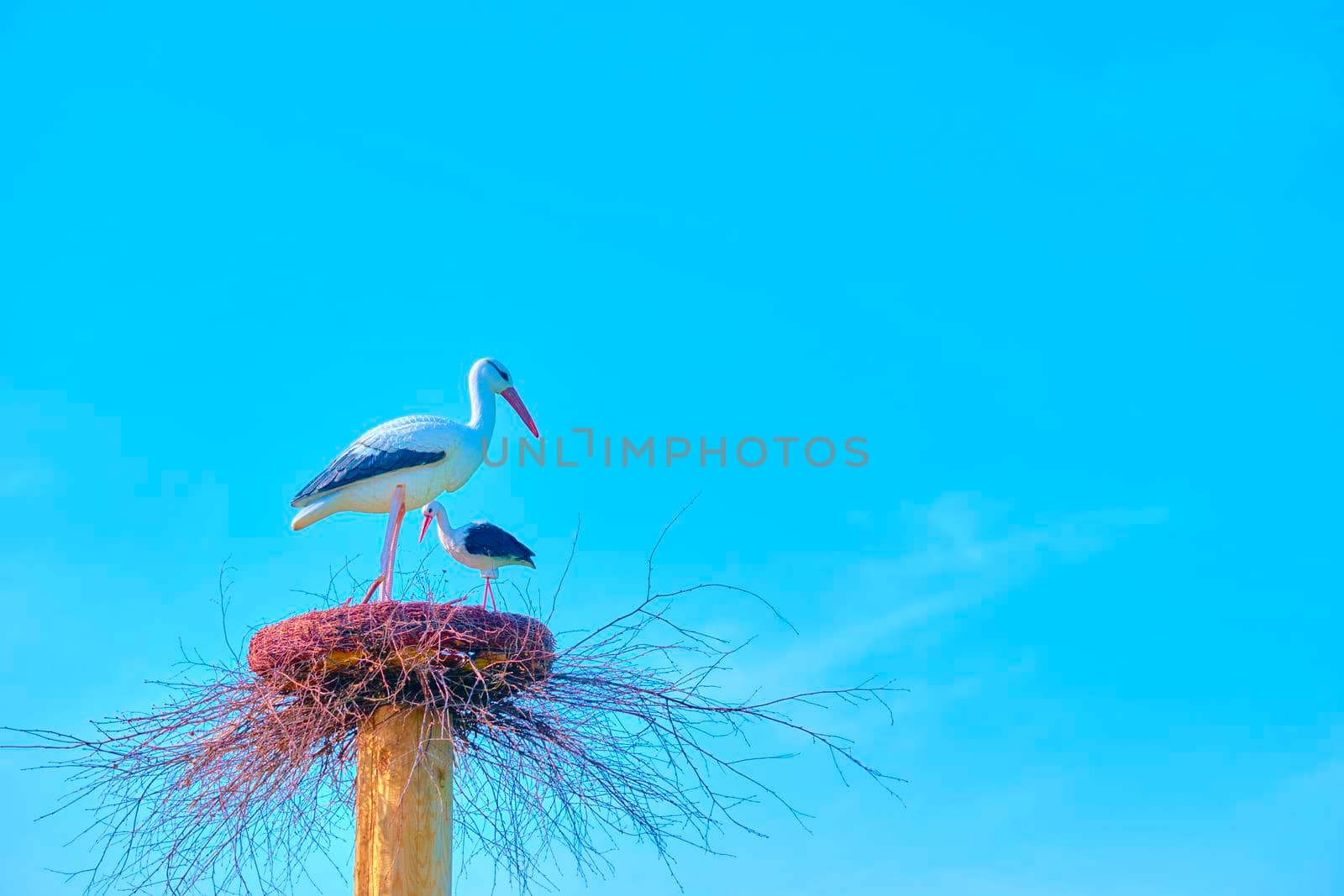 artificial stork made of plastic color blue sky by lempro