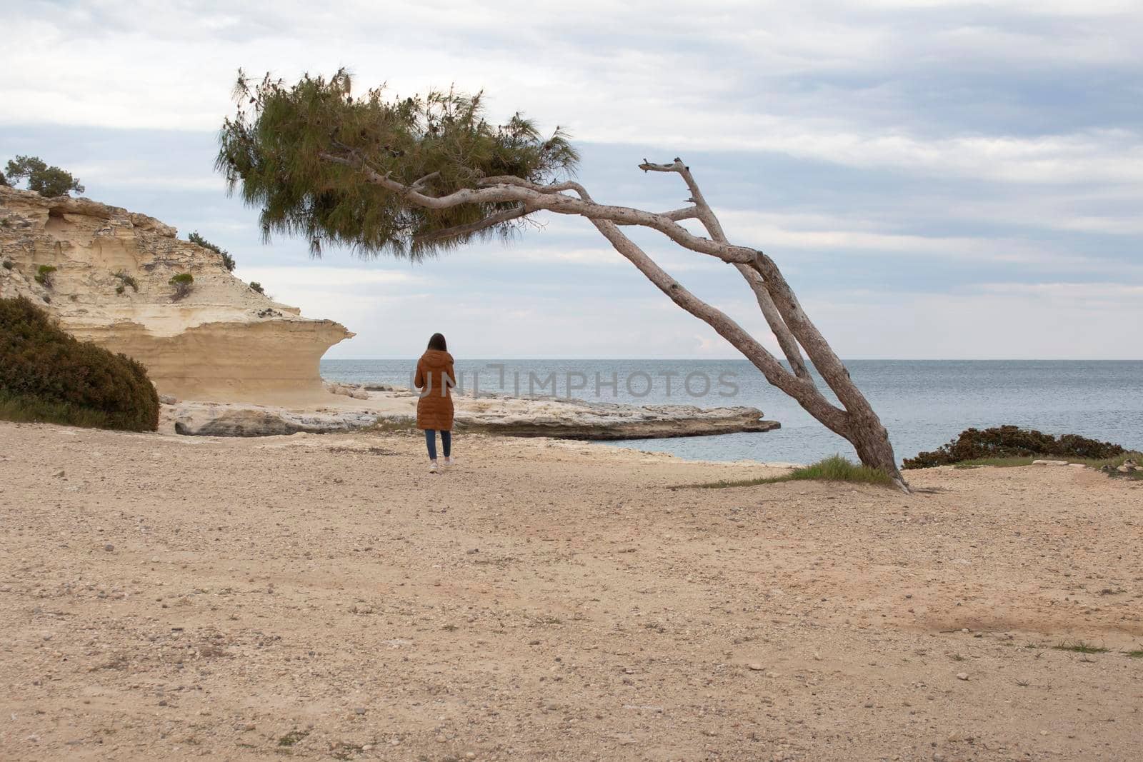 a girl is walking through the sea shore in spring time, rear view. empty beach, only one tree is, cloudy weather but nature is very beautiful