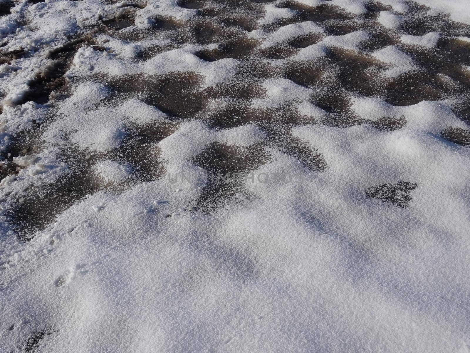 Close up of a frozen paddock bottom under snow