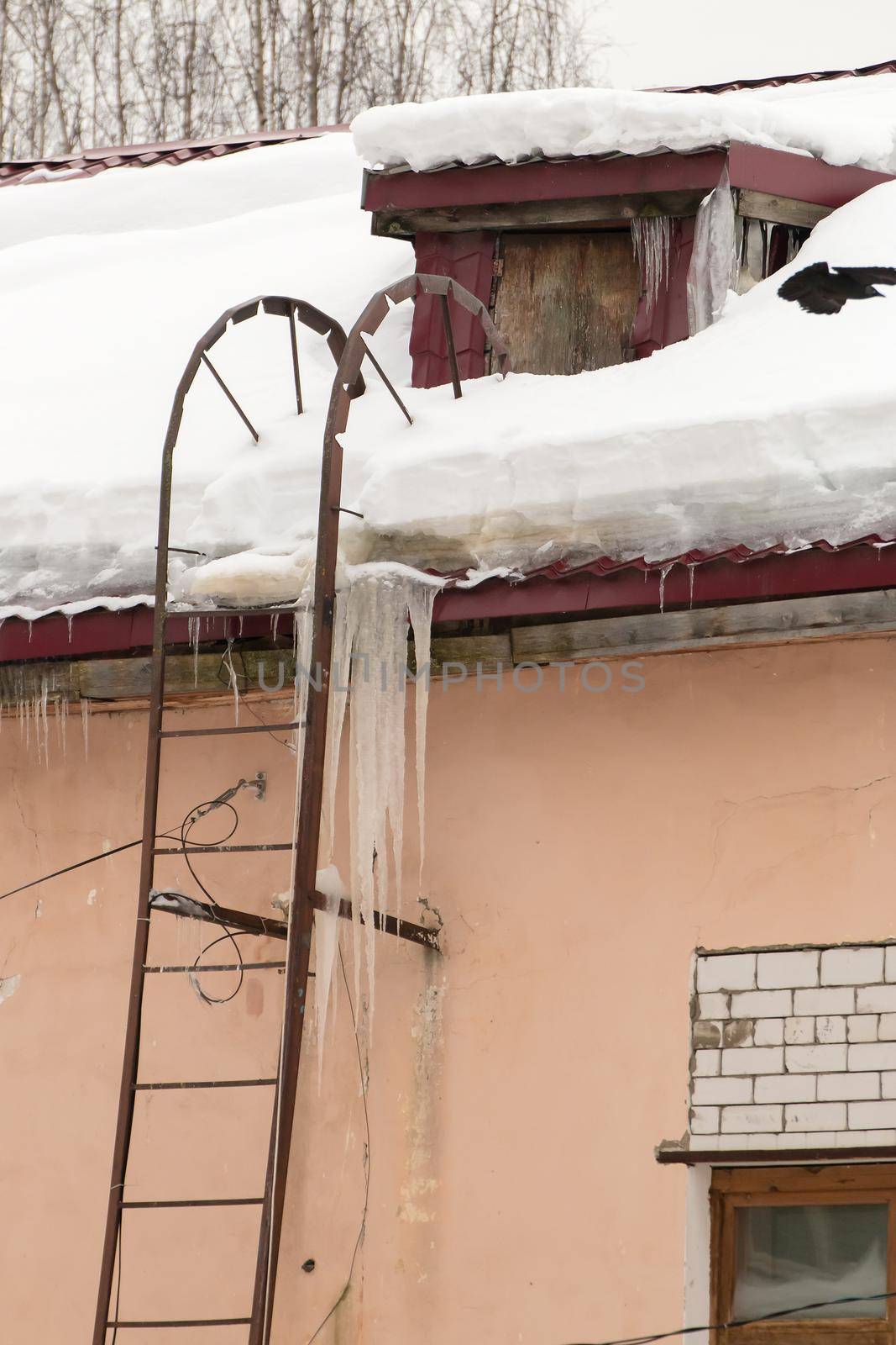 Long ice icicles hang from the edge of the roof. Against the background of the wall of an old brick house. Large cascades, even beautiful rows. Cloudy winter day, soft light.