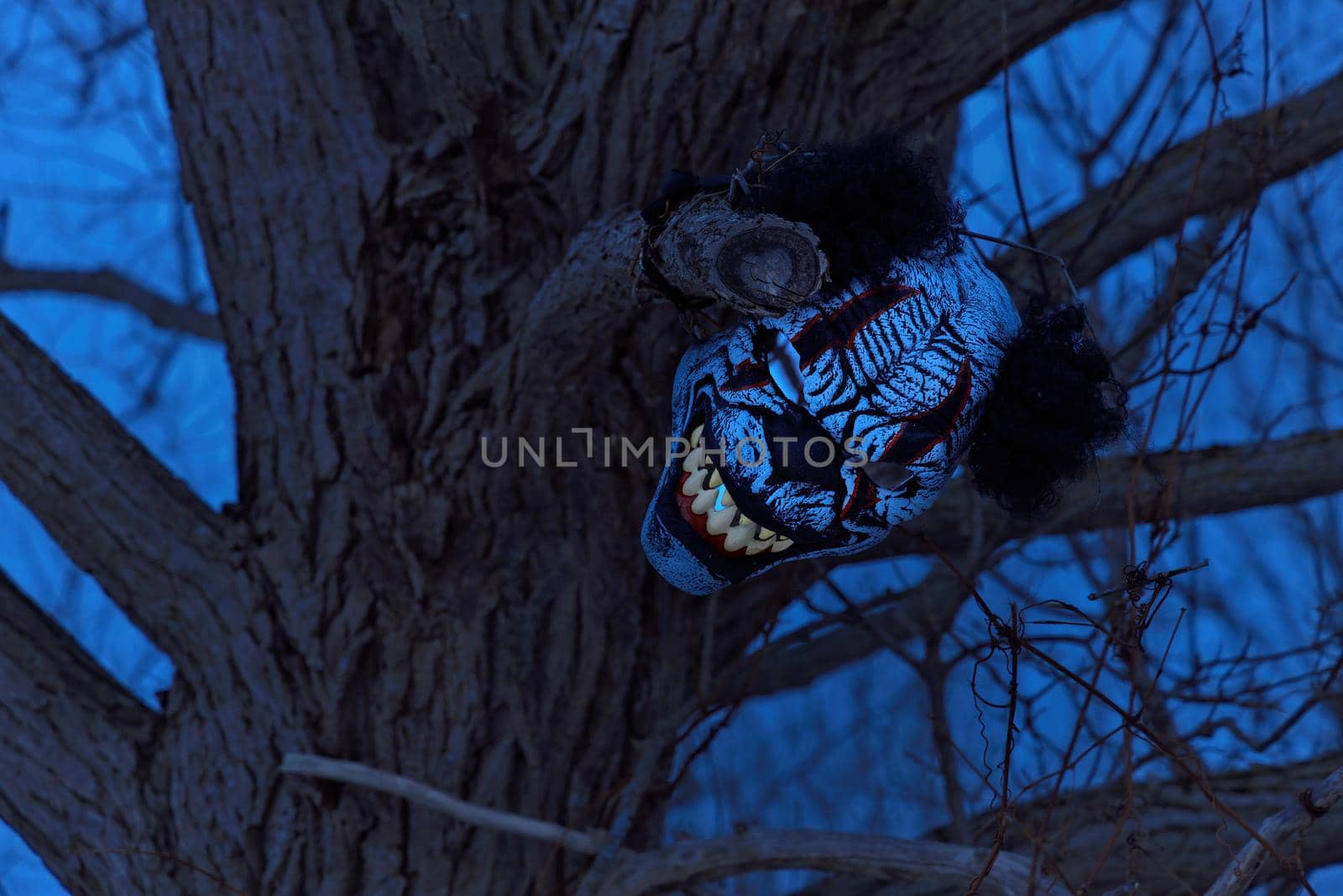 Terrifying Scary Clown Mask with Large Fangs in a Spooky Tree with at Twilight or Night. High quality photo