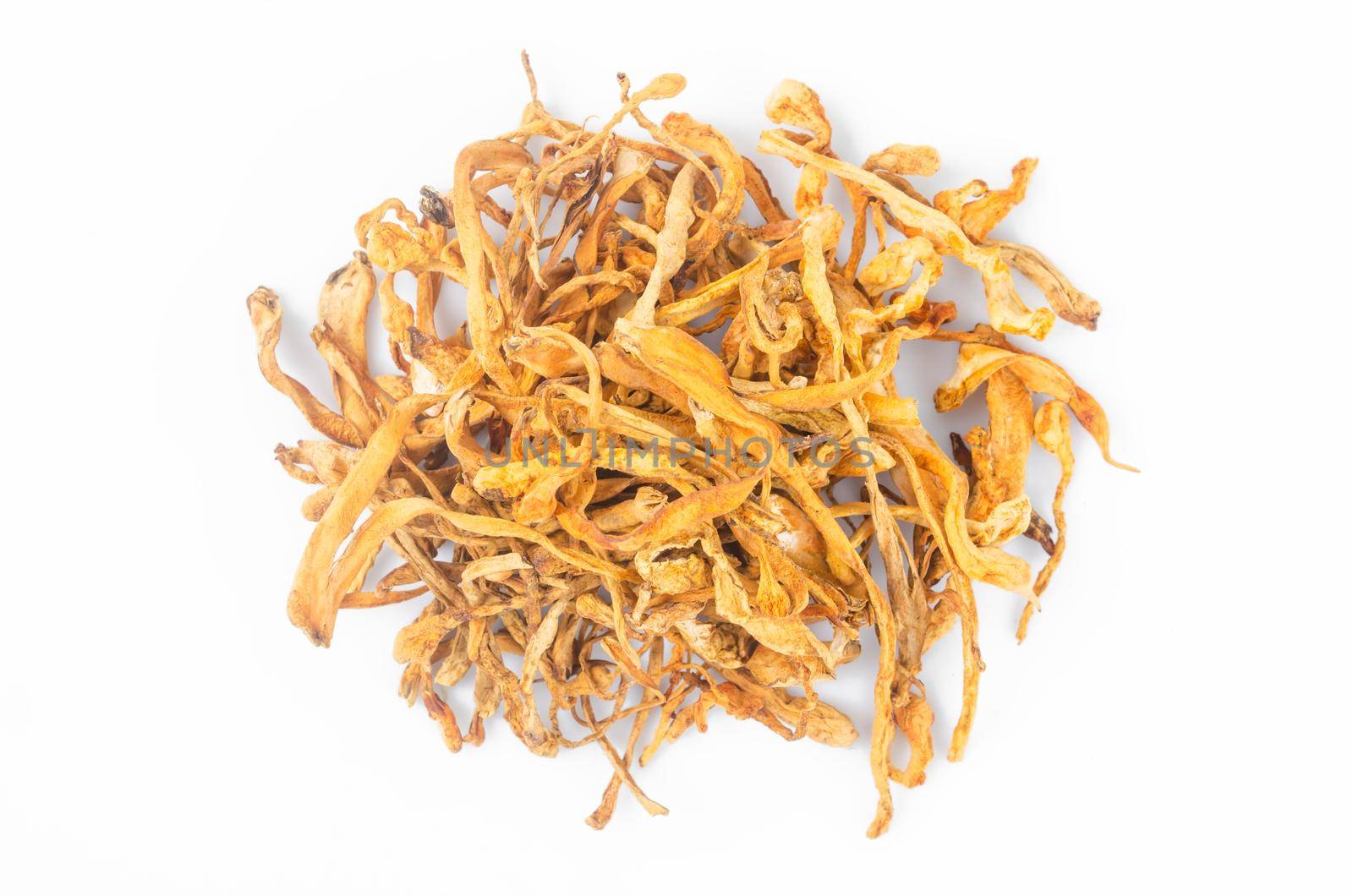 The Dried cordyceps militaris mushroom flower on white background.