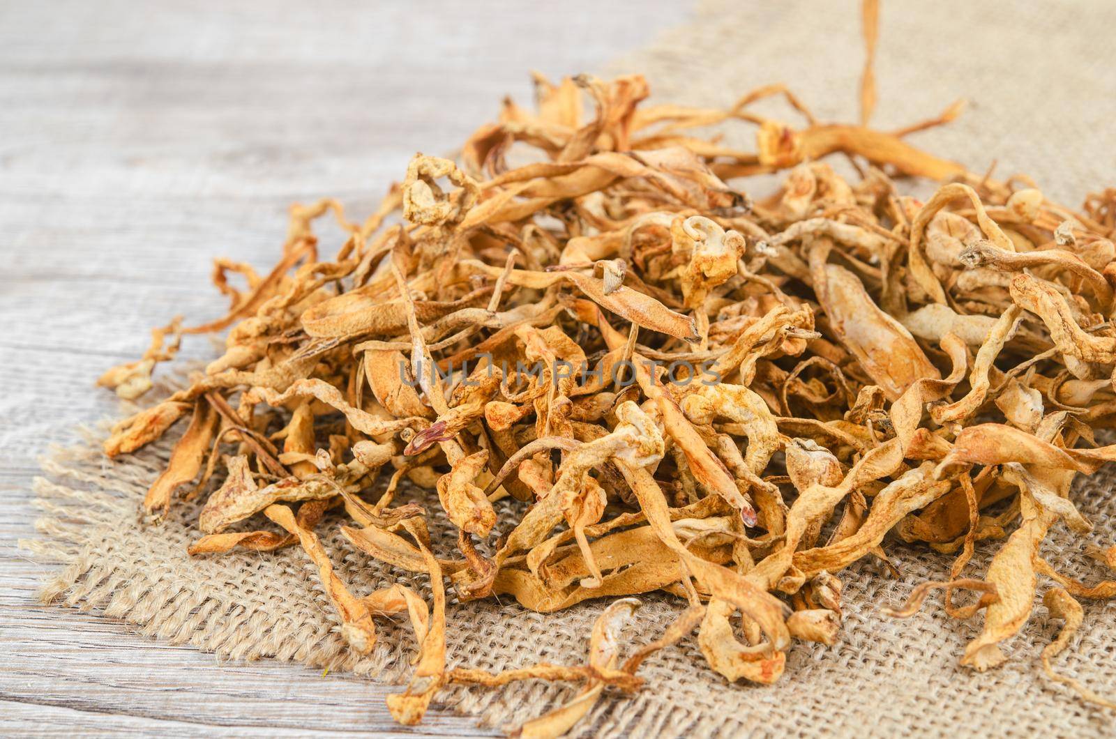The Dried cordyceps militaris mushroom flower on wooden background.