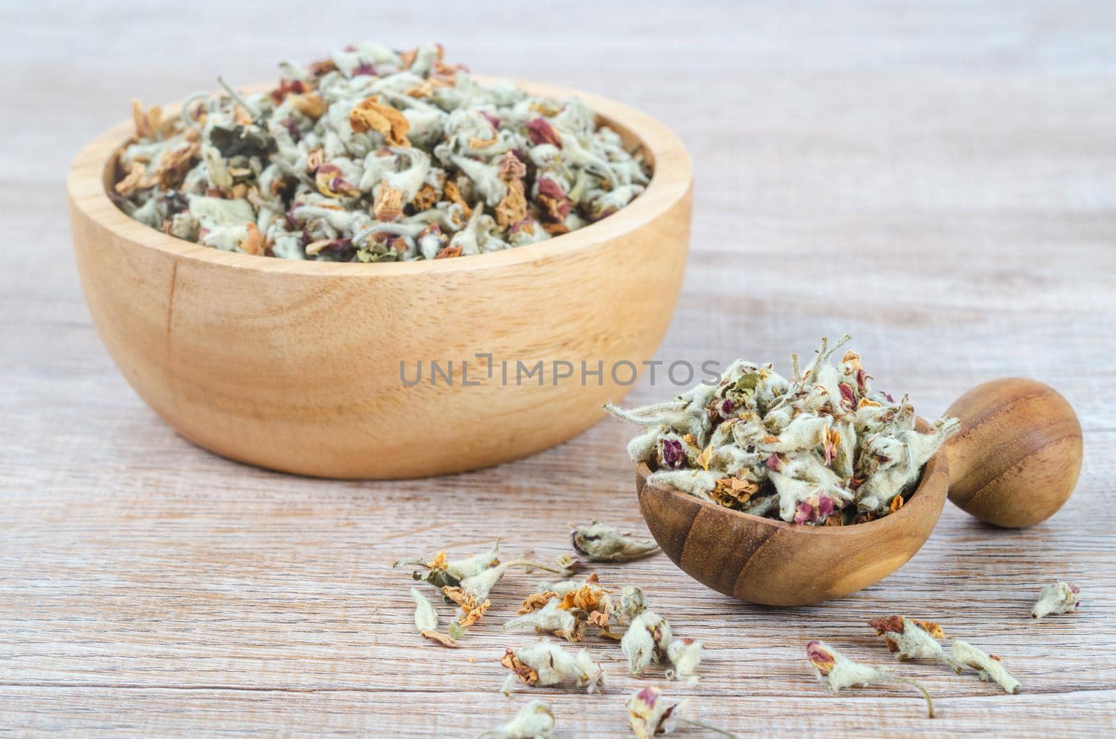 Flower tea. Dried of apple blossom in wooden spoon.