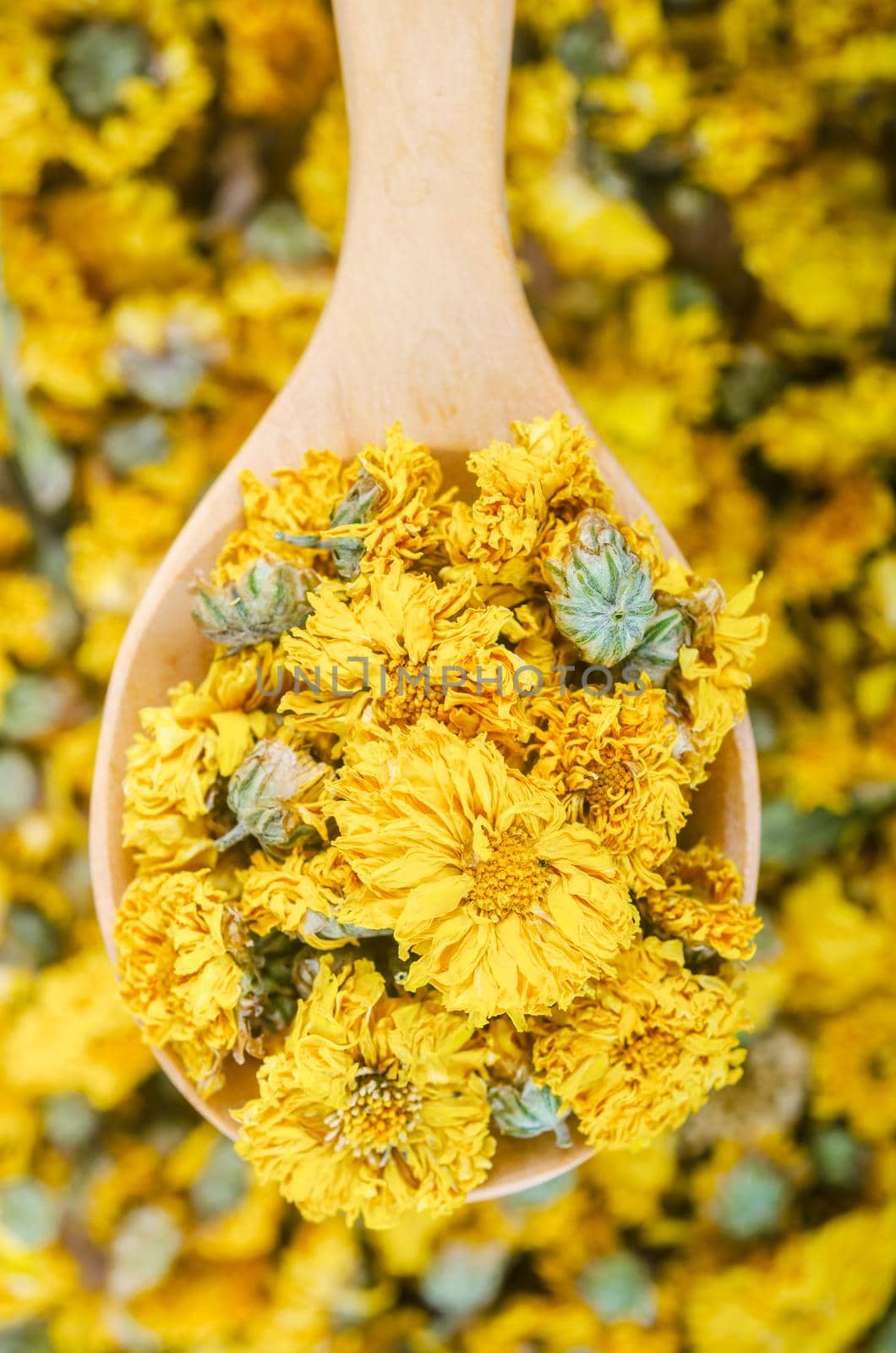 The Dried Chrysanthemum tea in wooden spoon.