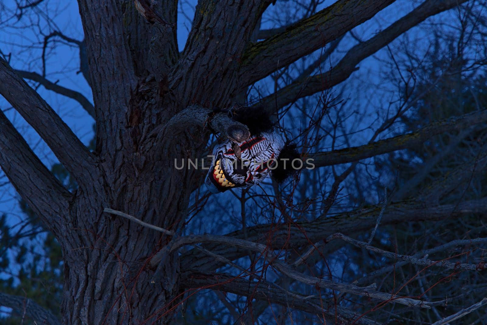 Terrifying Scary Clown Mask with Large Fangs Glows in a Spooky Tree with at Twilight or Night by markvandam
