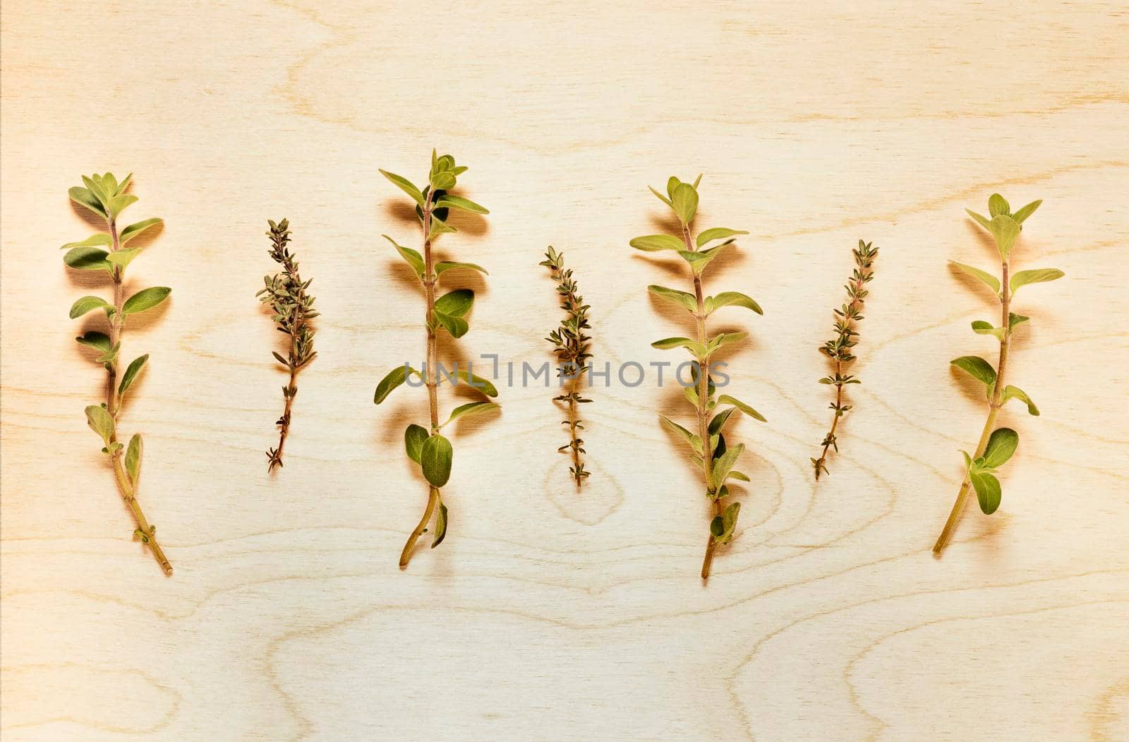 Bunch of fresh thymus and origanum on wooden background, culinary herbs