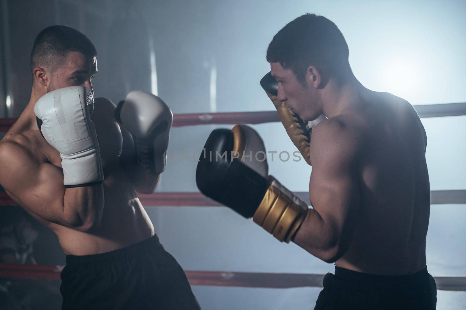 Two muscular mixed martial arts athletes fighting in the ring. High quality photography.