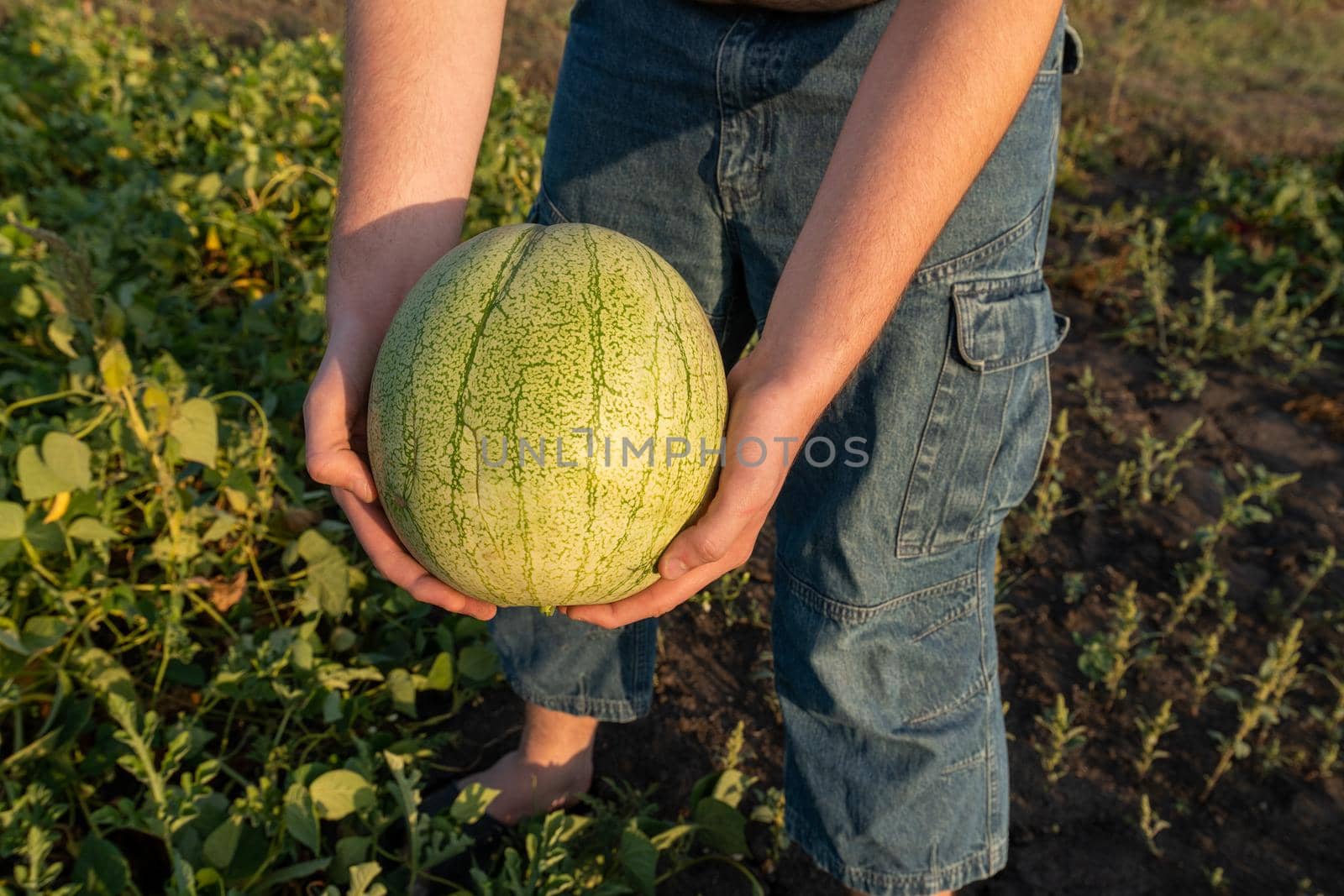 Teenager holding watermelon in his hands