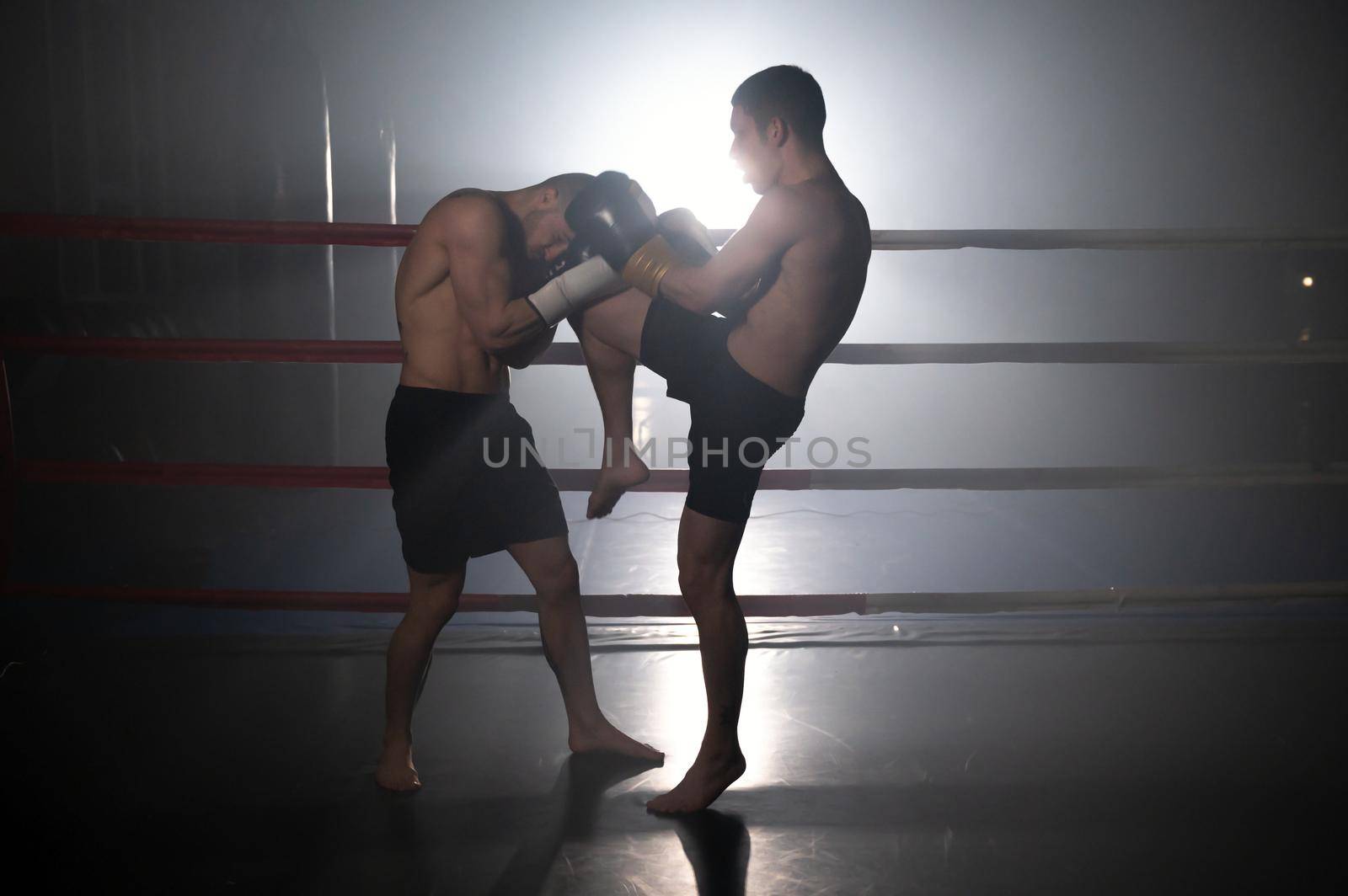 Two muscular mixed martial arts athletes fighting in the ring. by HERRAEZ