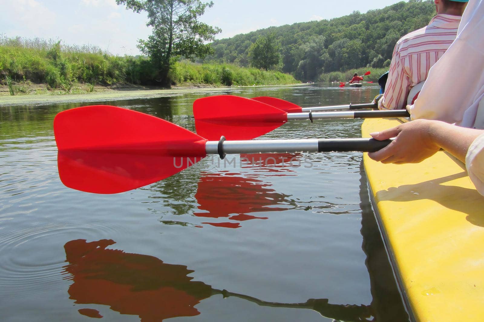 On image: Three paddles are displayed in a row in the hands of the people floating in the kayak. The paddles are reflected in the calm water. the floating people in the yellow kayak are holding red paddles