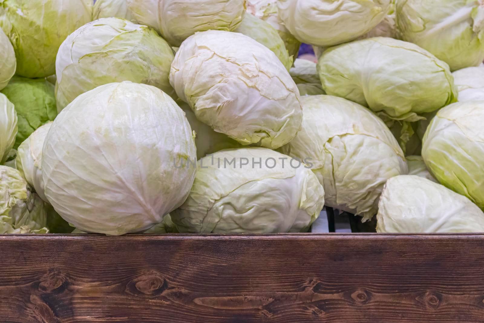 cabbage heads on the shelves of large stores. photo