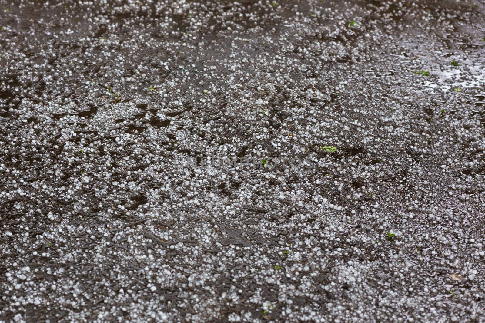 White ice hail on the asphalt road surface by z1b