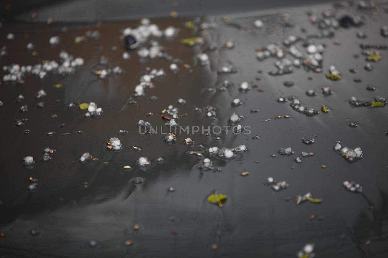 small hail ice balls on black car bonnet after summer storm by z1b