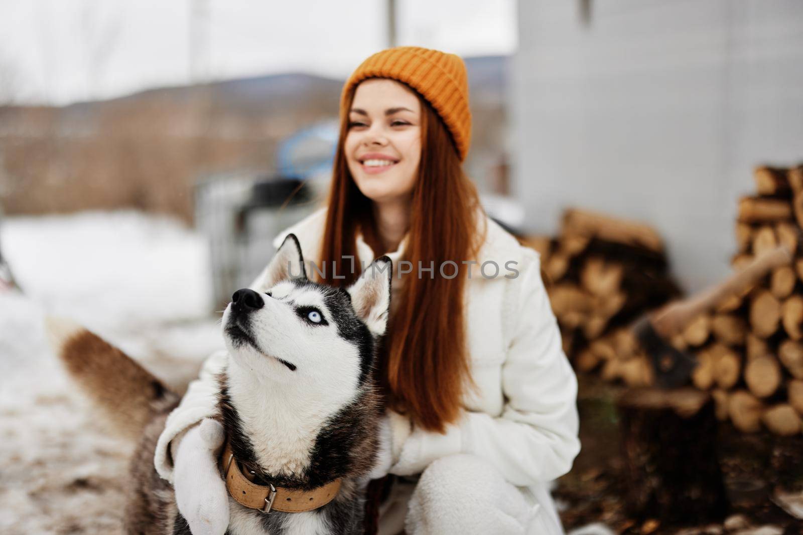 beautiful dog on a leash winter landscape walk friendship winter holidays by SHOTPRIME