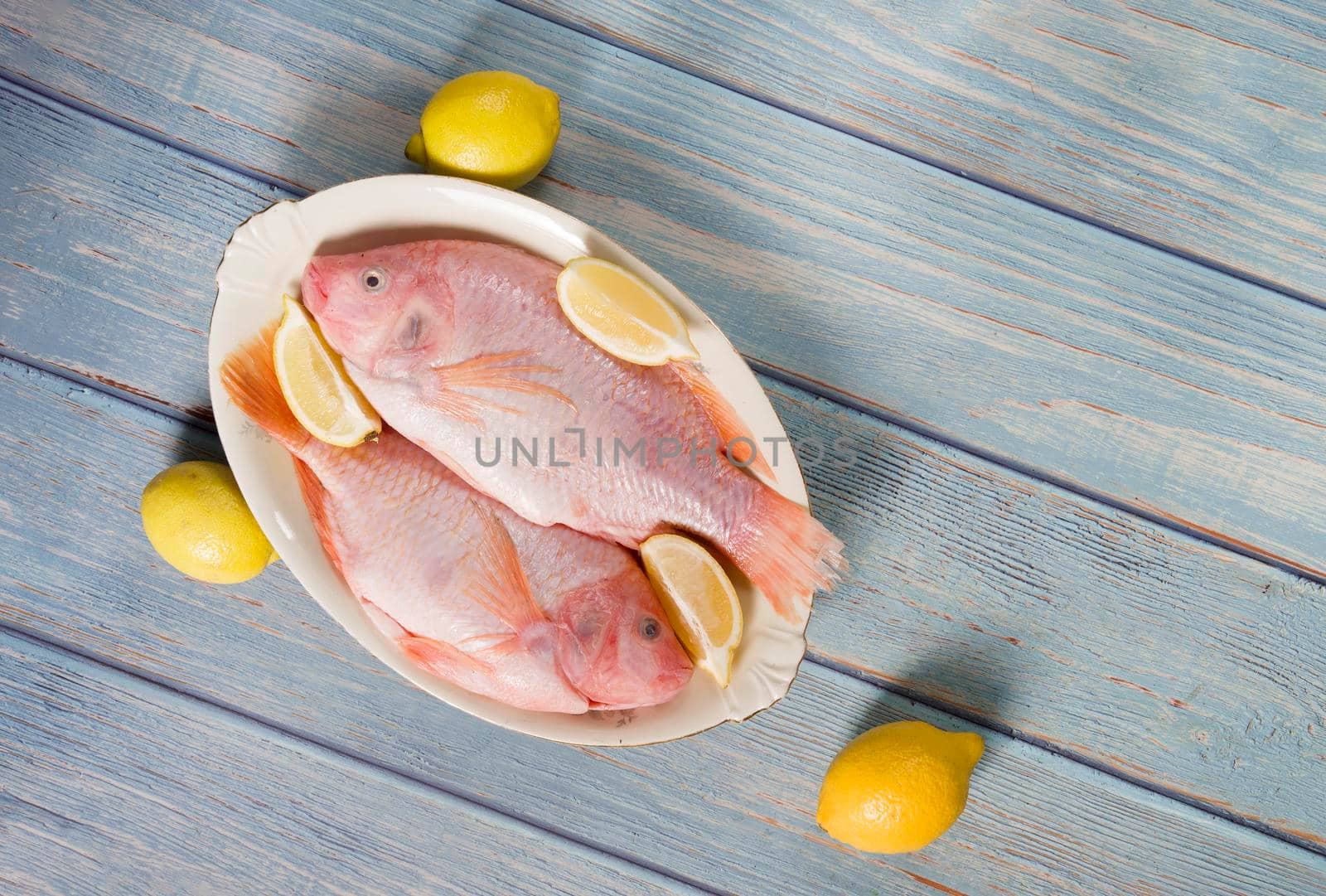 raw fresh pink tilapia fish lies on a platter surrounded by yellow lemons and on a blue wooden background. High quality photo