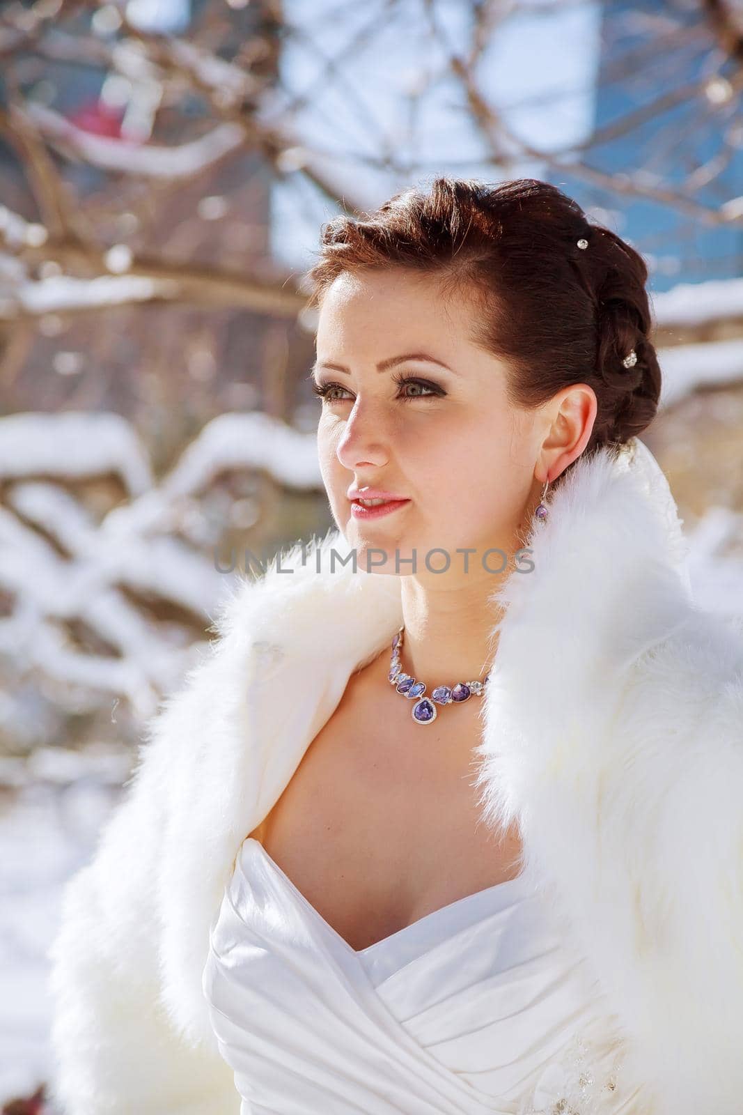 Bride in the winter against the backdrop of New York by ungvar