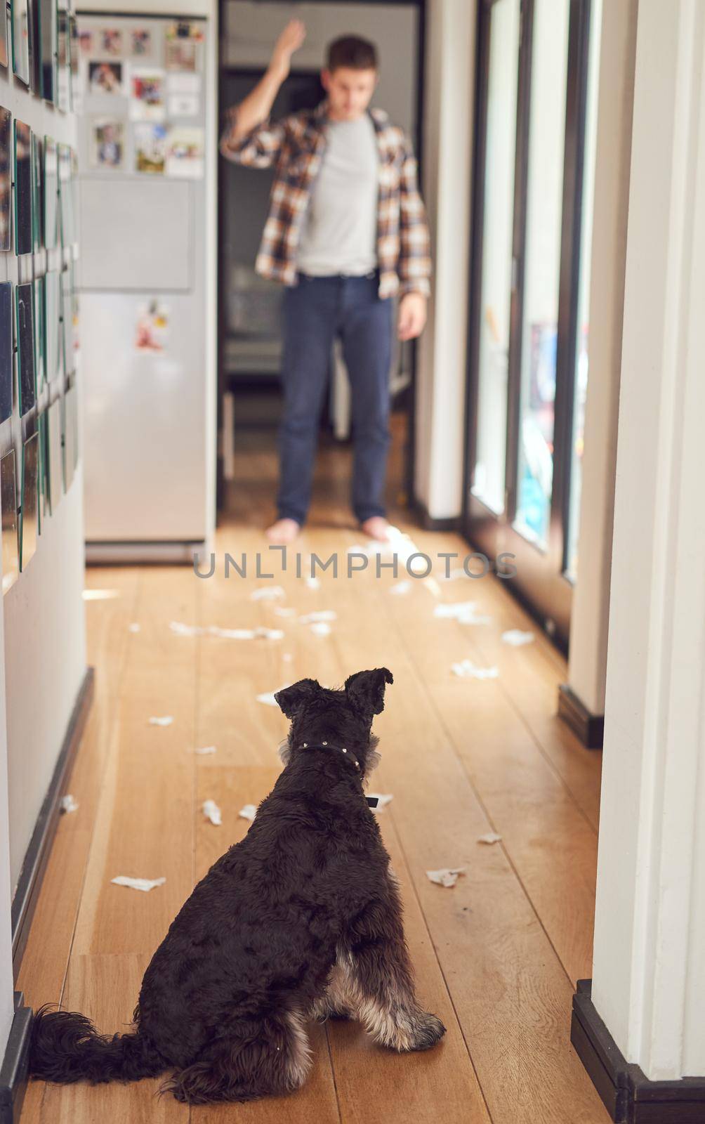 Too bad for him. Great for a meme, though. Shot of a man looking at the mess his dog made in the house. by YuriArcurs