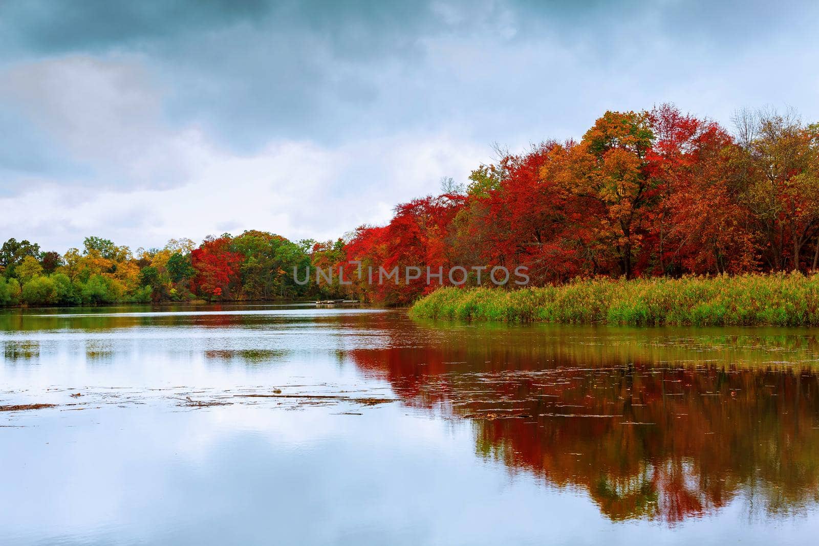colorful autumn forest lake river sky clouds Cirrus by ungvar
