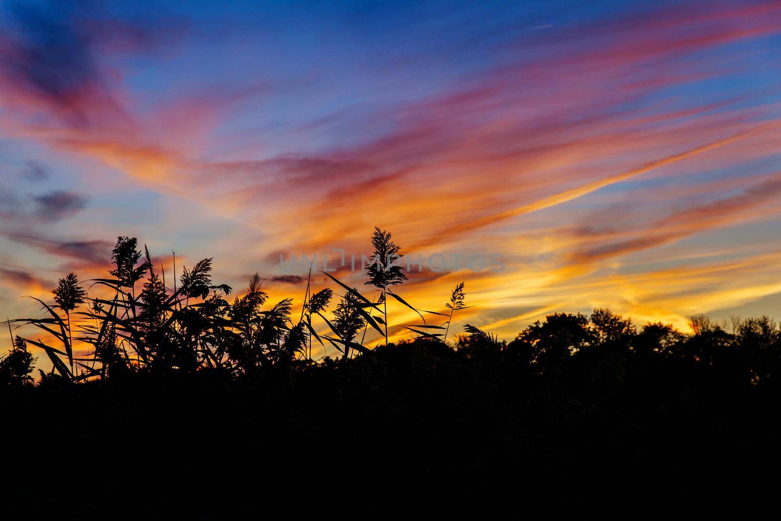 Bright colorful sunset on the sea with beautiful clouds Autumn sunset pink sky