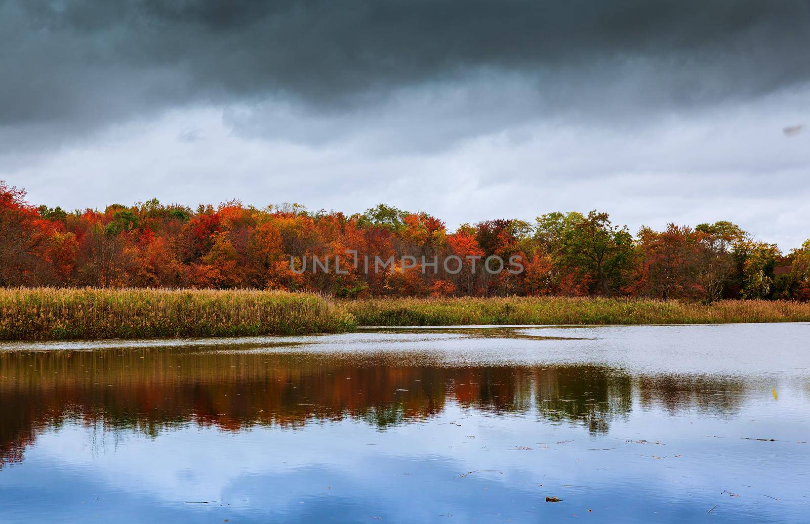colorful autumn forest lake river sky clouds Autumn lake sky cloud