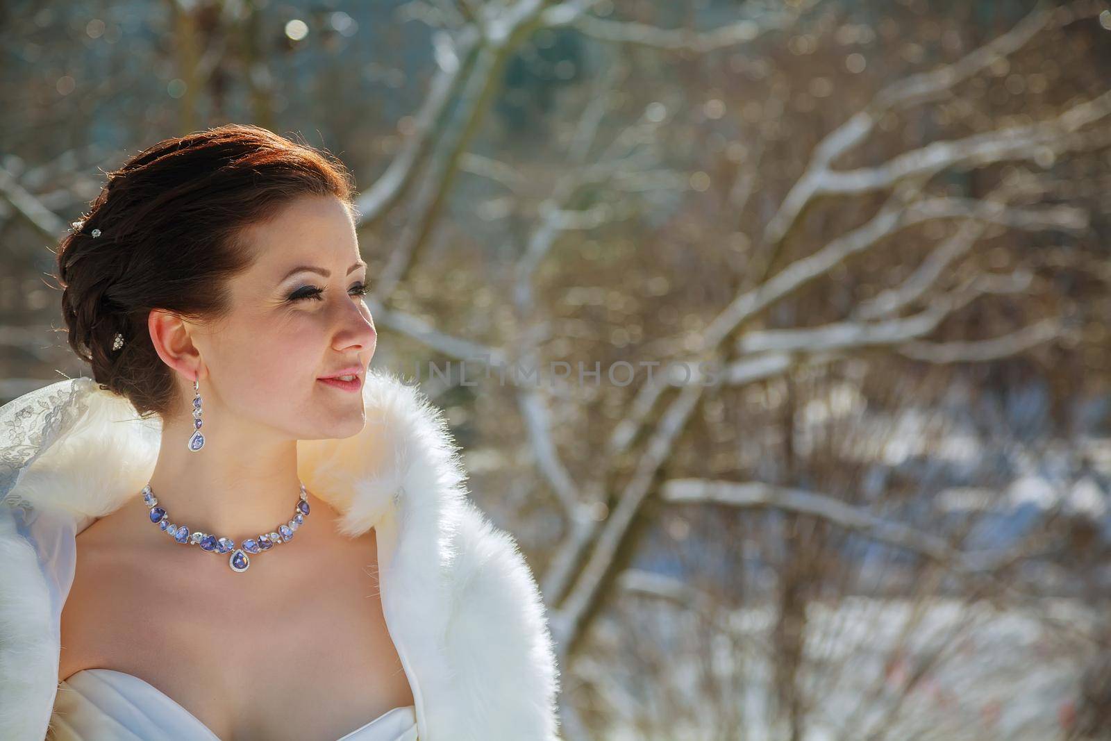 Bride in the winter against the backdrop of New York by ungvar