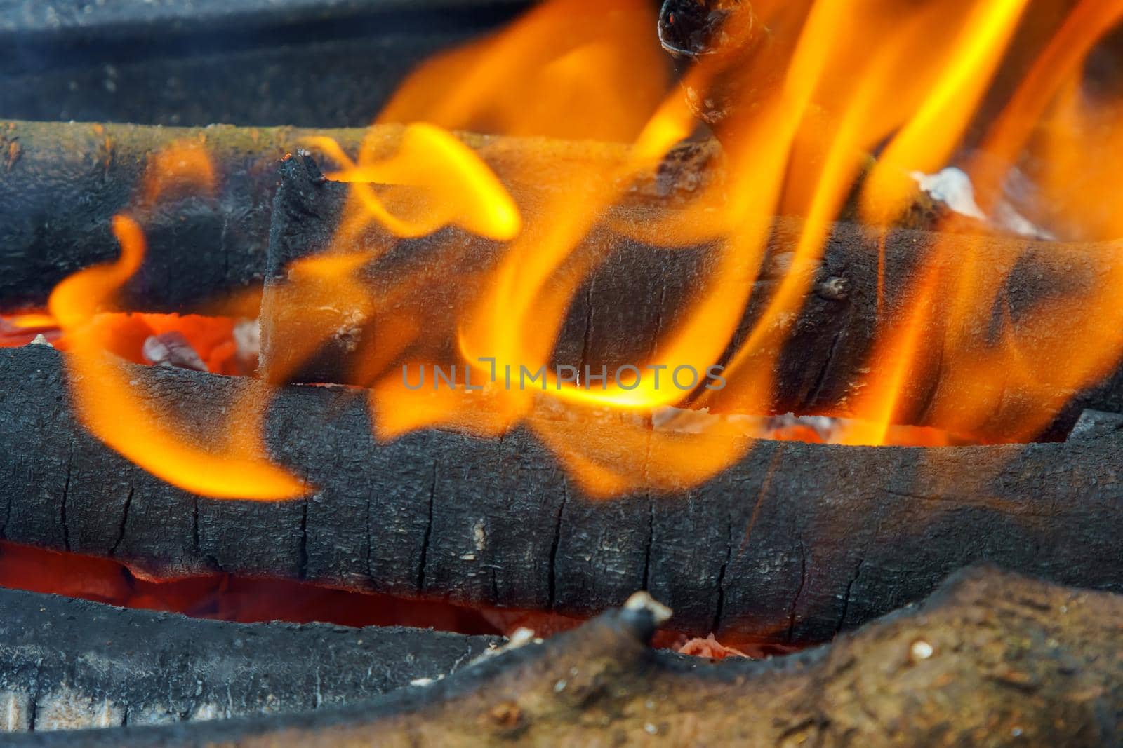 Wood Fire Close-Up by ungvar