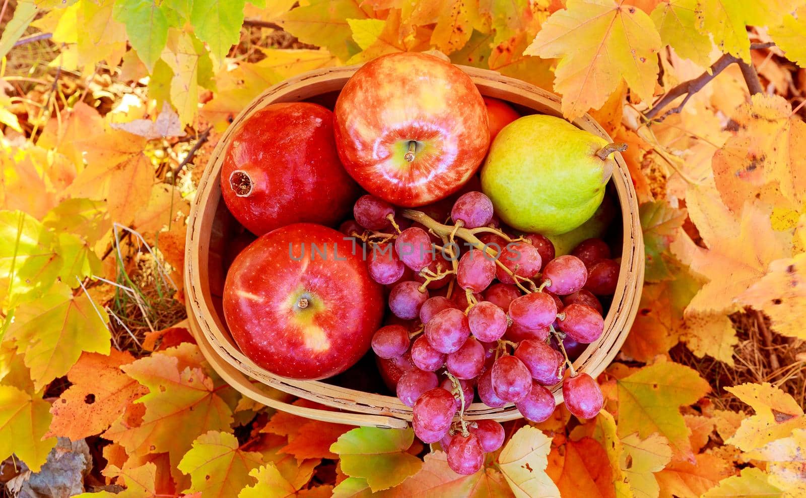 autumn leaves yellow apples grapes grenades basket of apples and grapes on the green grass