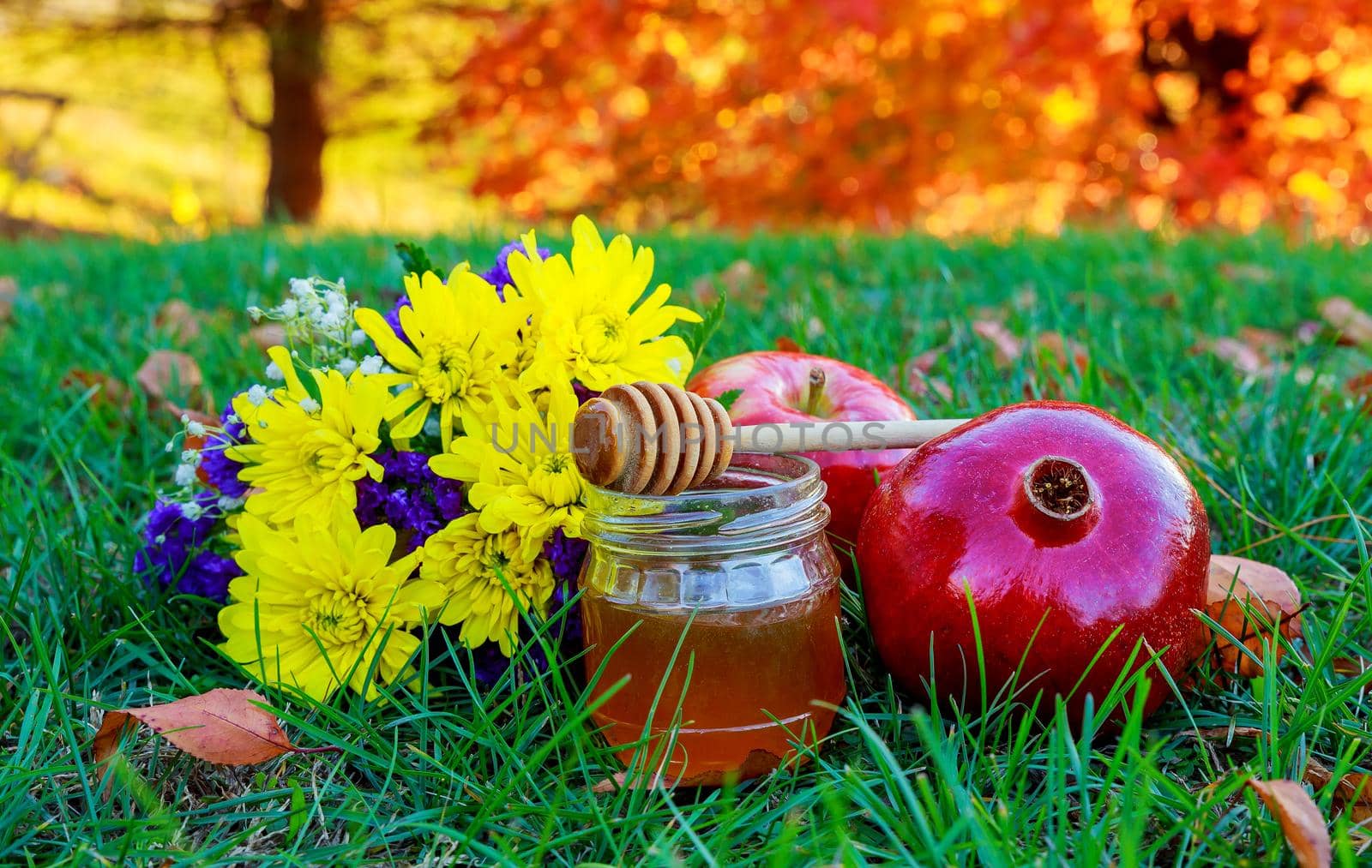 rosh hashanah jewesh holiday concept - honey, apple and pomegranate lying in the grass traditional symbols.