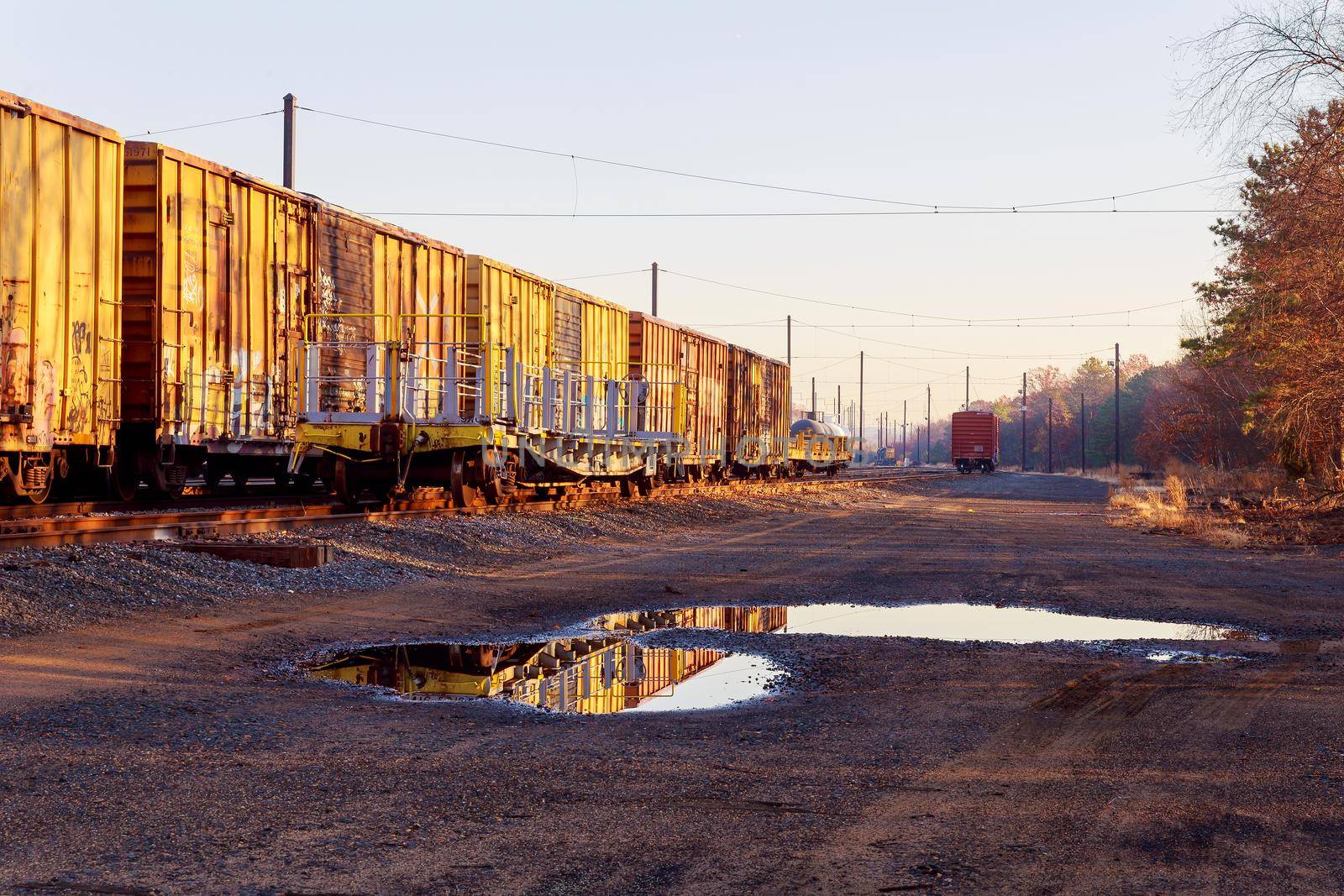 Railway cars stand on cargo station in USA road railway wagons