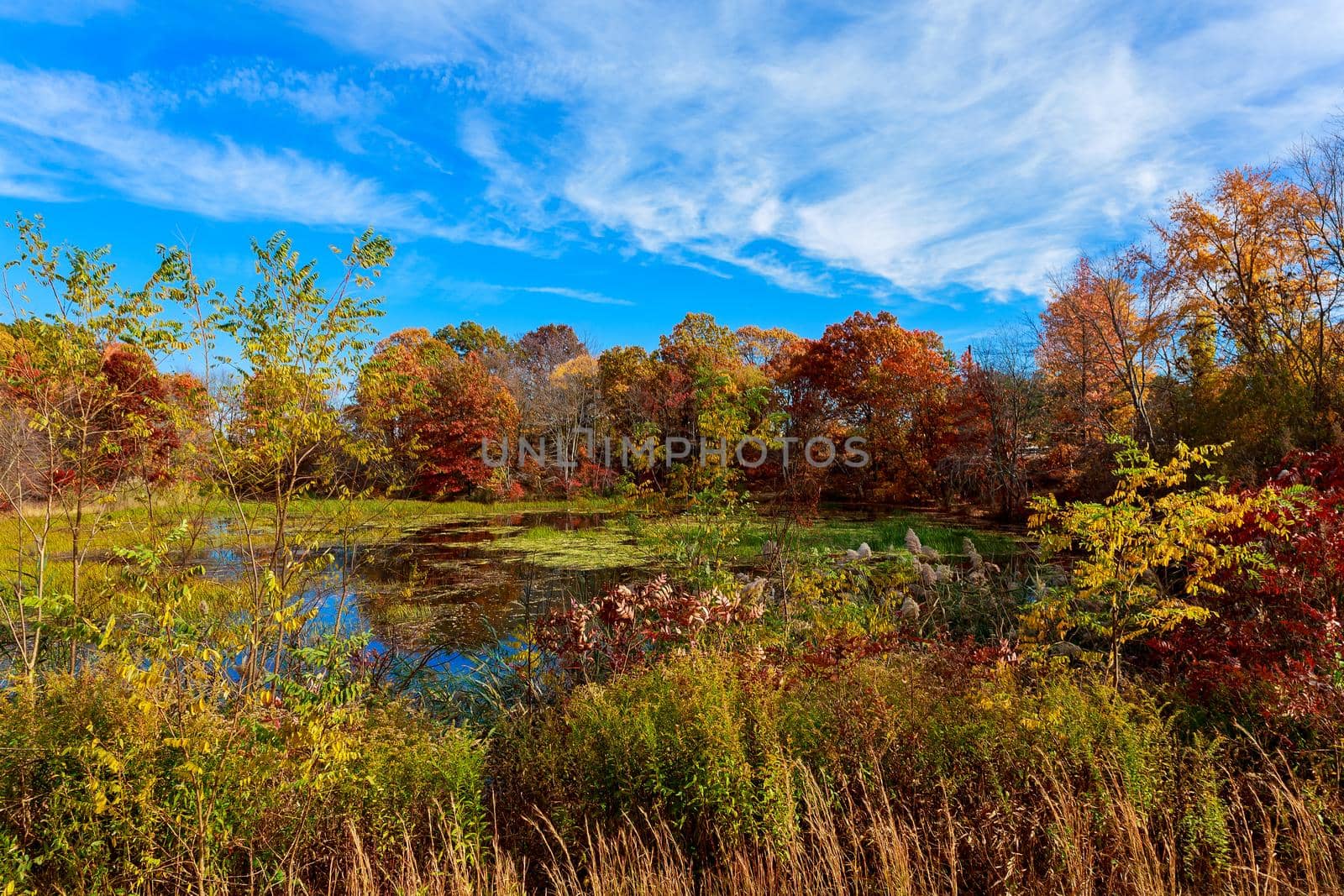 colorful autumn forest lake river sky clouds Autumn lake sky cloud