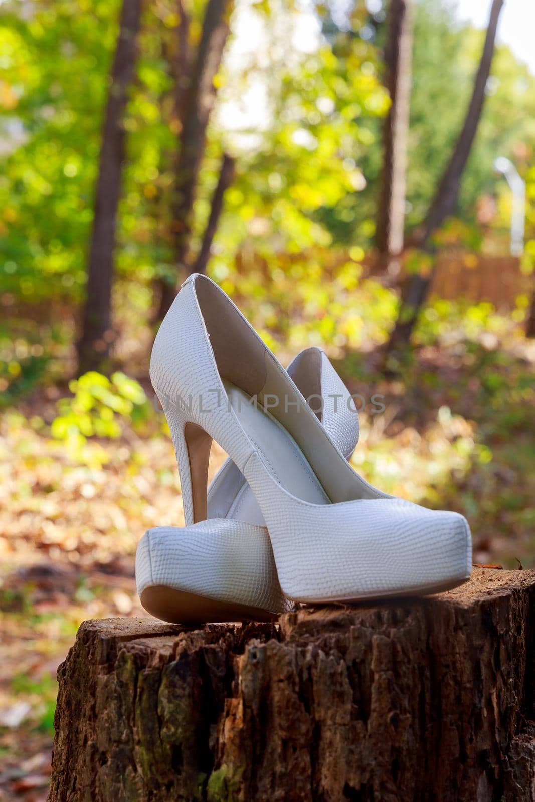 The beautiful shoes of the bride with flowers on the side.