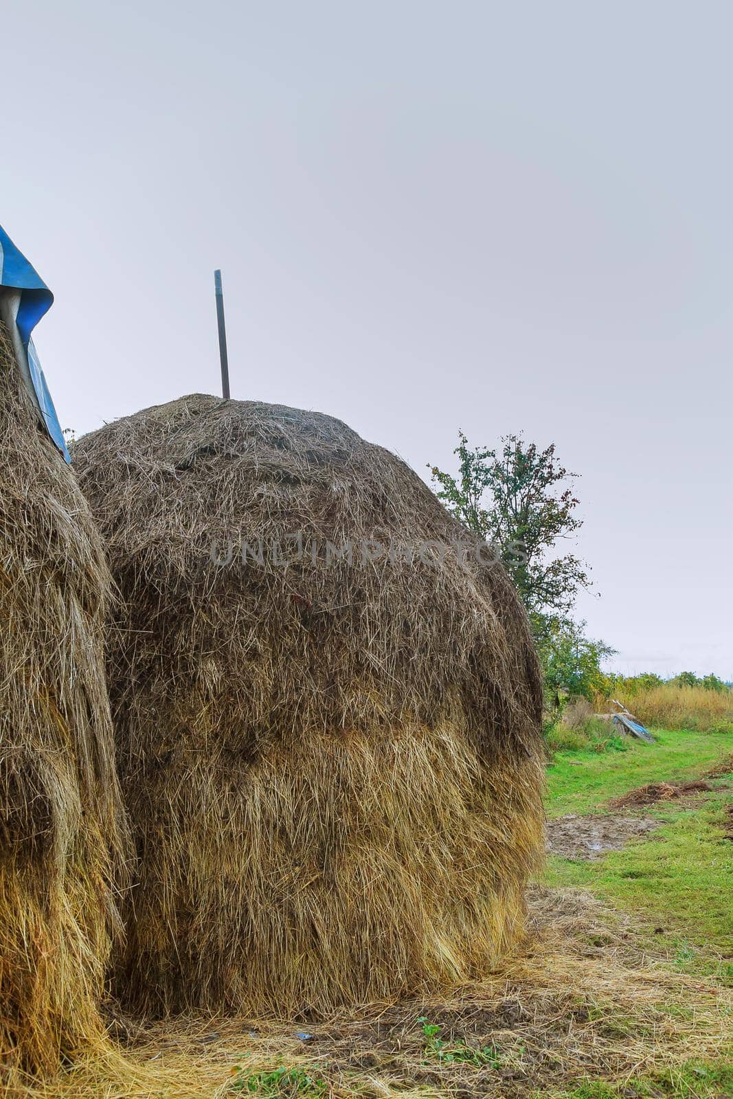 house, haystack in the field, near the forest, in a carpathian village, Ukraine