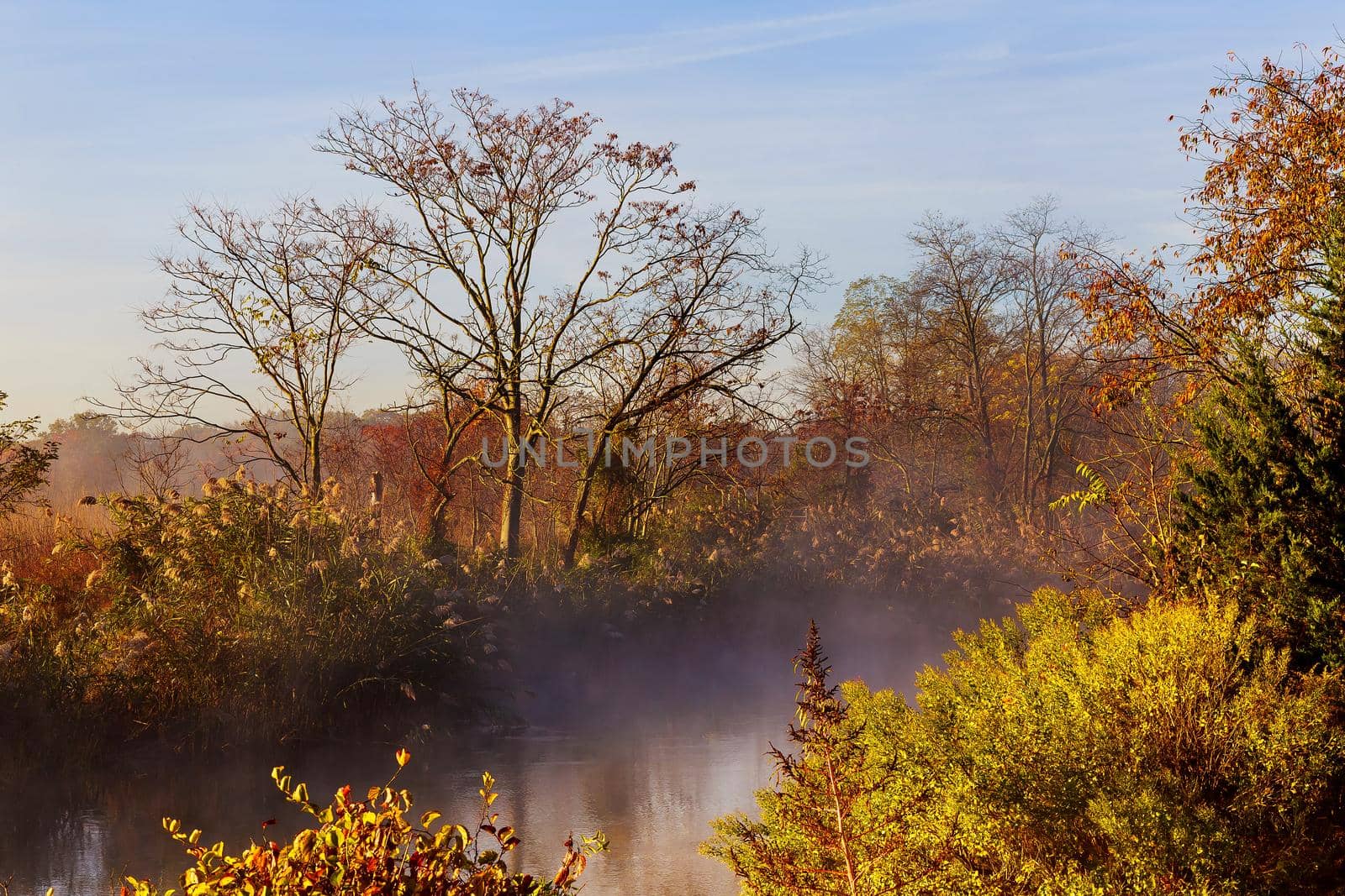 morning fog over river in autumn by ungvar