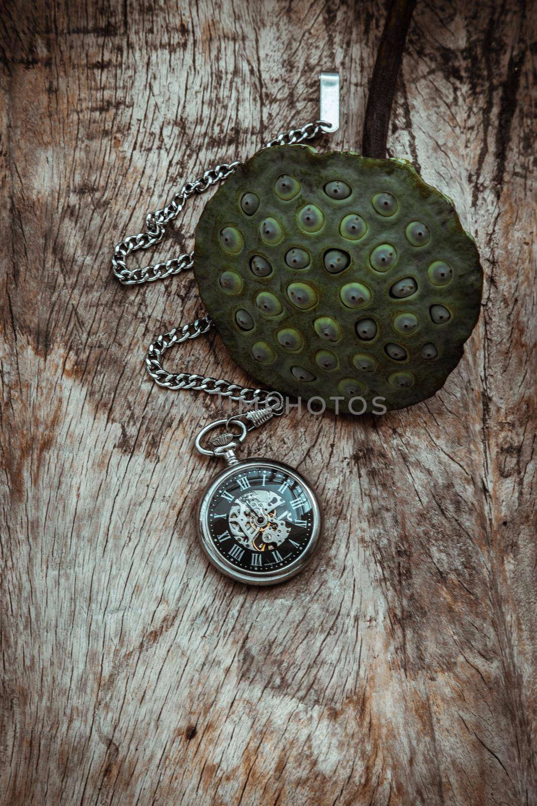 A retro pocket watch and Fresh green lotus seed pods on old wooden board background.  by tosirikul