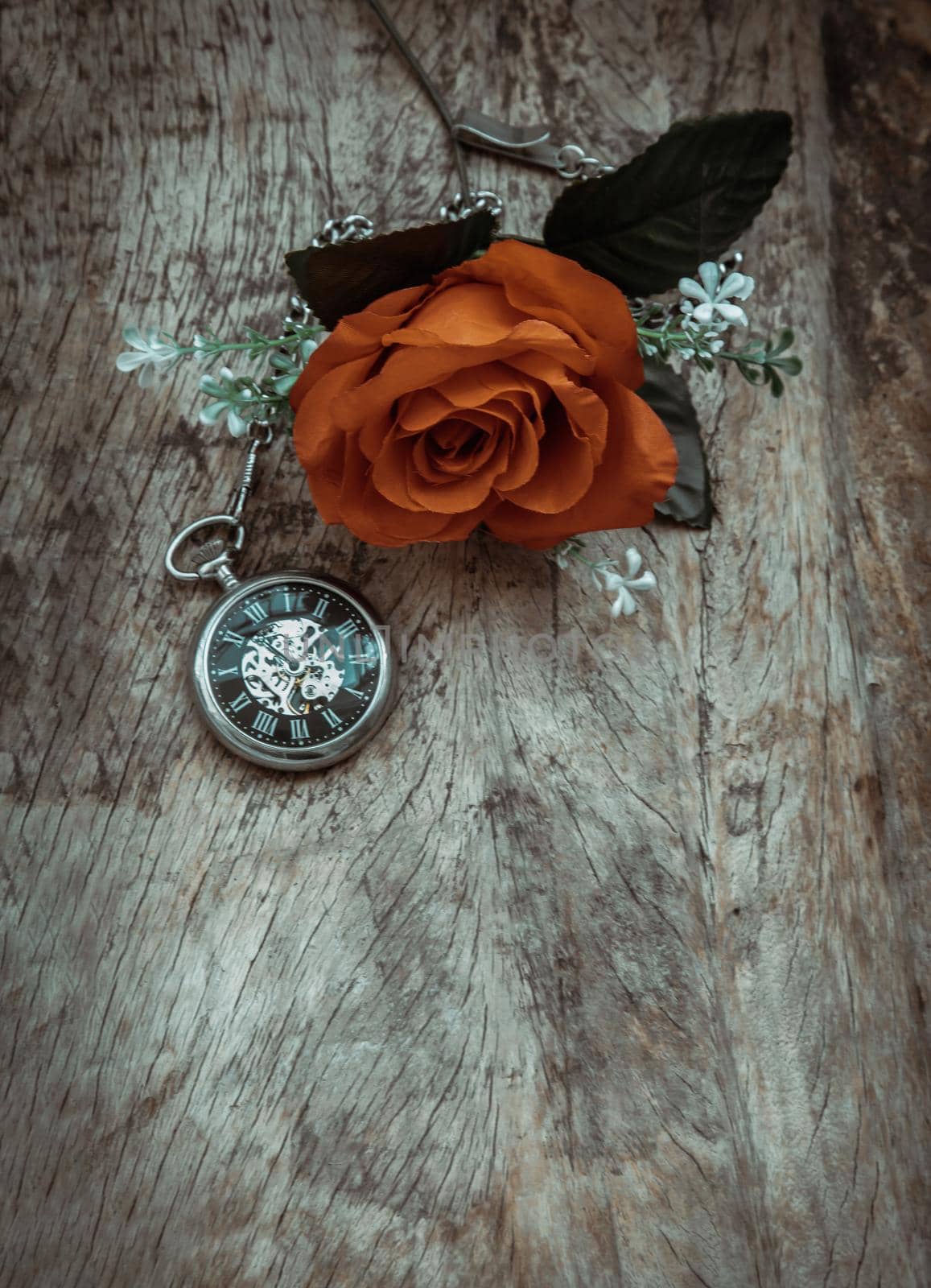 Orange rose flower and A retro pocket watch on old wooden board background. Copy space, No focus, specifically.