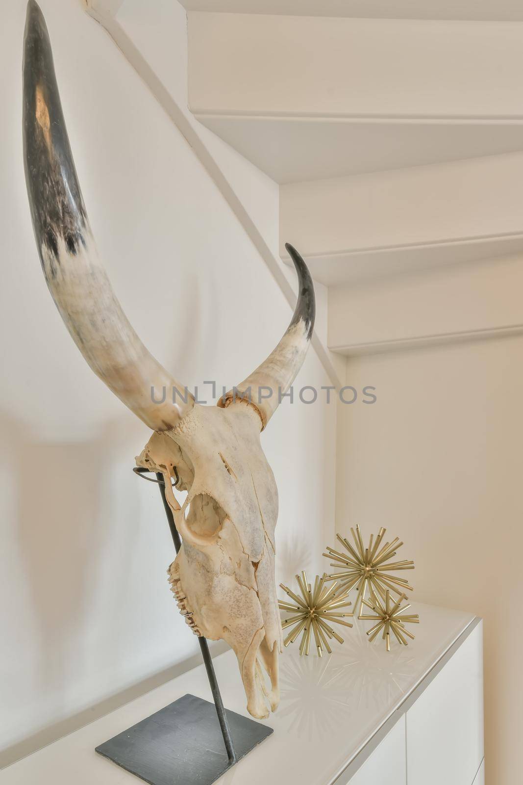 Decoration in the house in the form of an animal skull and souvenirs on the cabinet