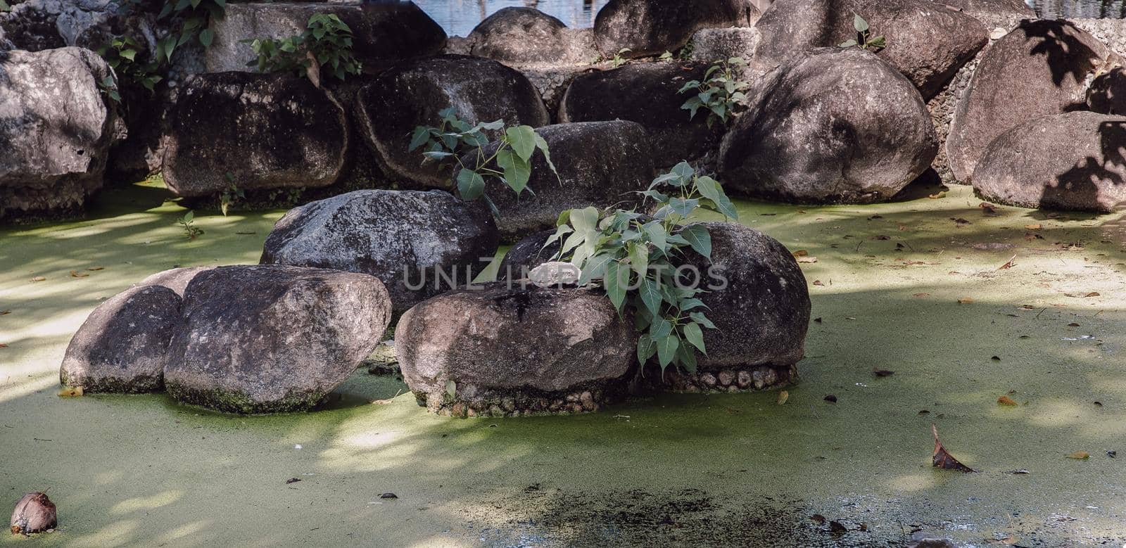 Sunbeams lighting down cairn of stones and green plants in the pond. by tosirikul
