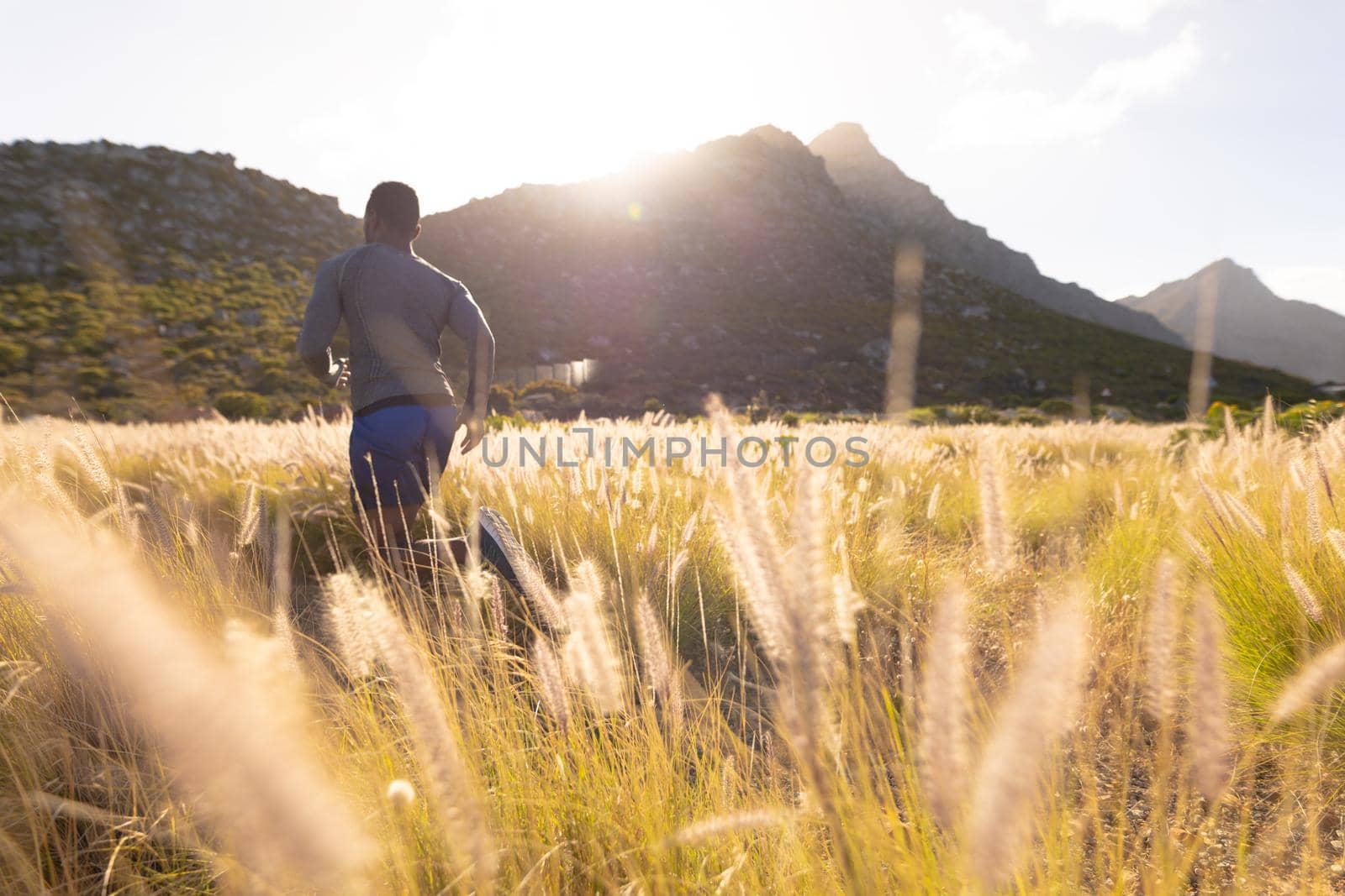 Fit african american man in sportswear running through tall grass. healthy lifestyle, exercising in nature.