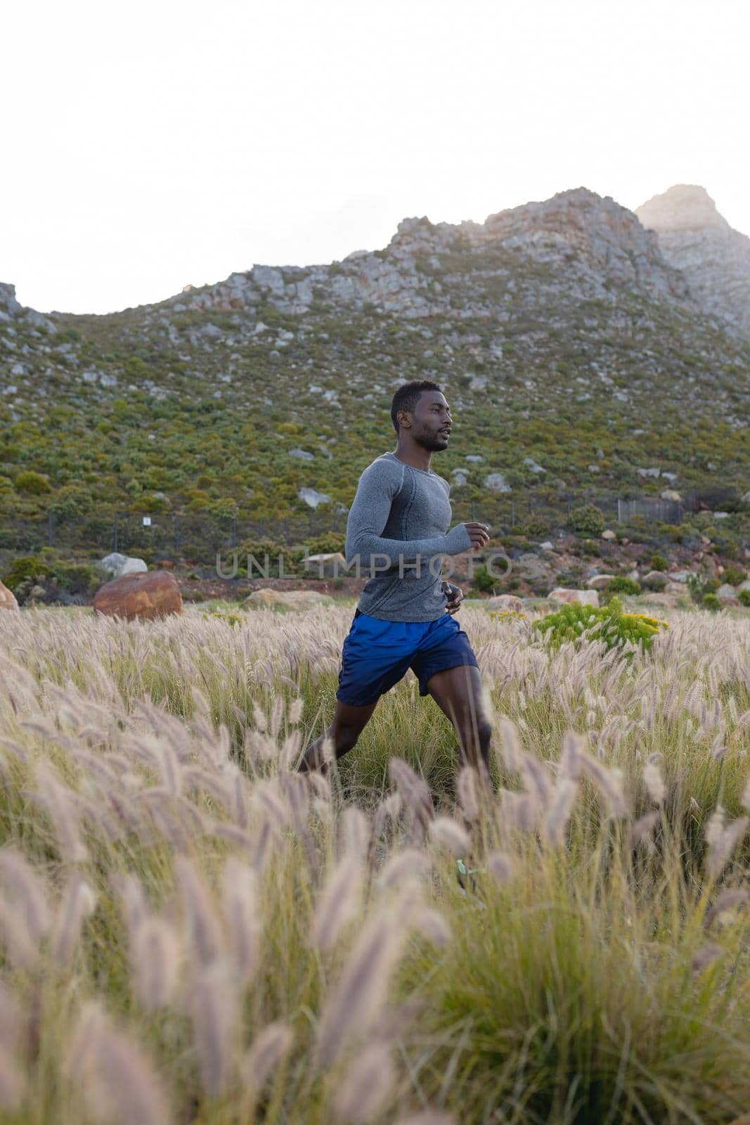 Fit african american man in sportswear running through tall grass. healthy lifestyle, exercising in nature.
